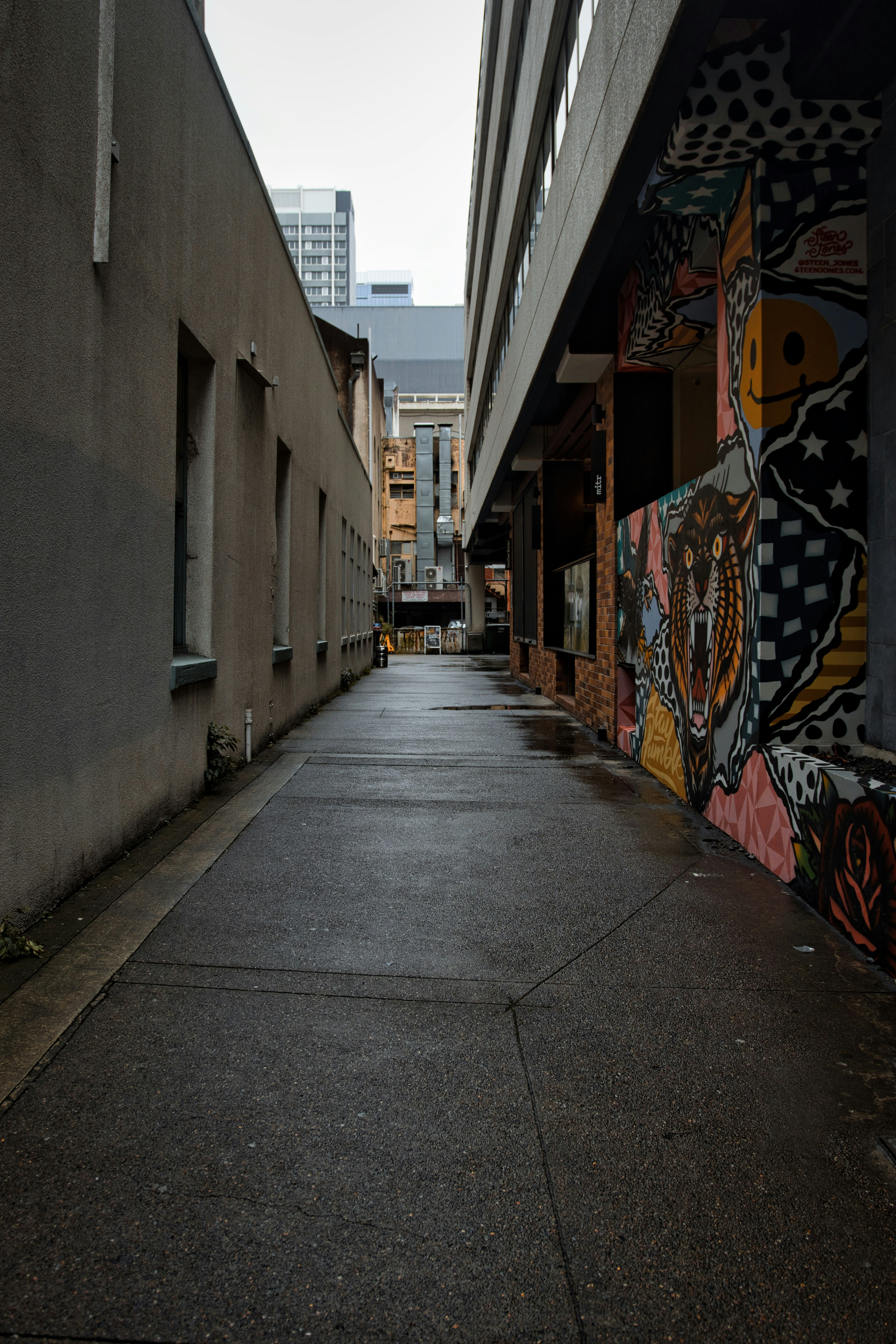 Photo by paws_and_prints