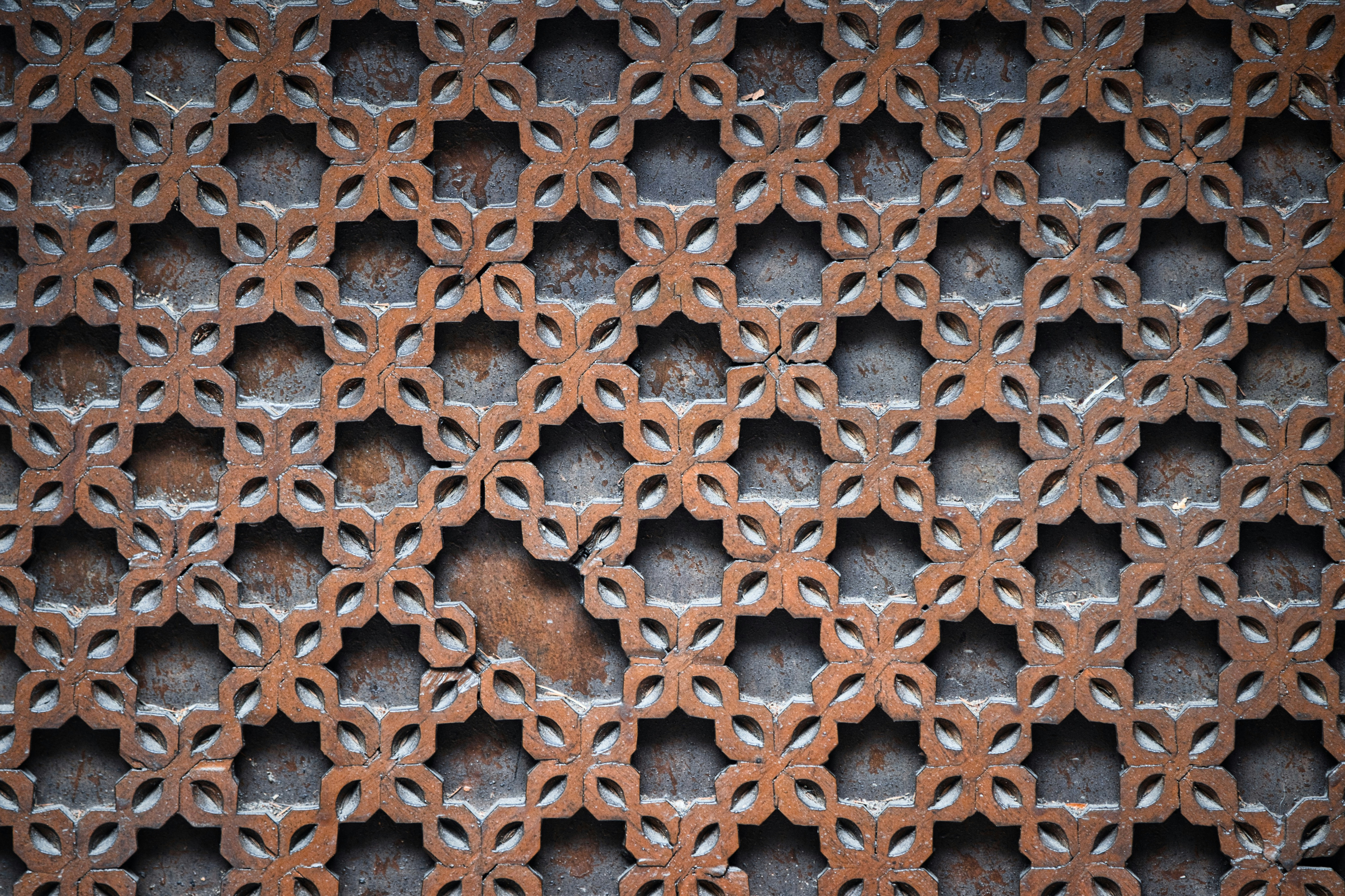 Photo by paws_and_prints