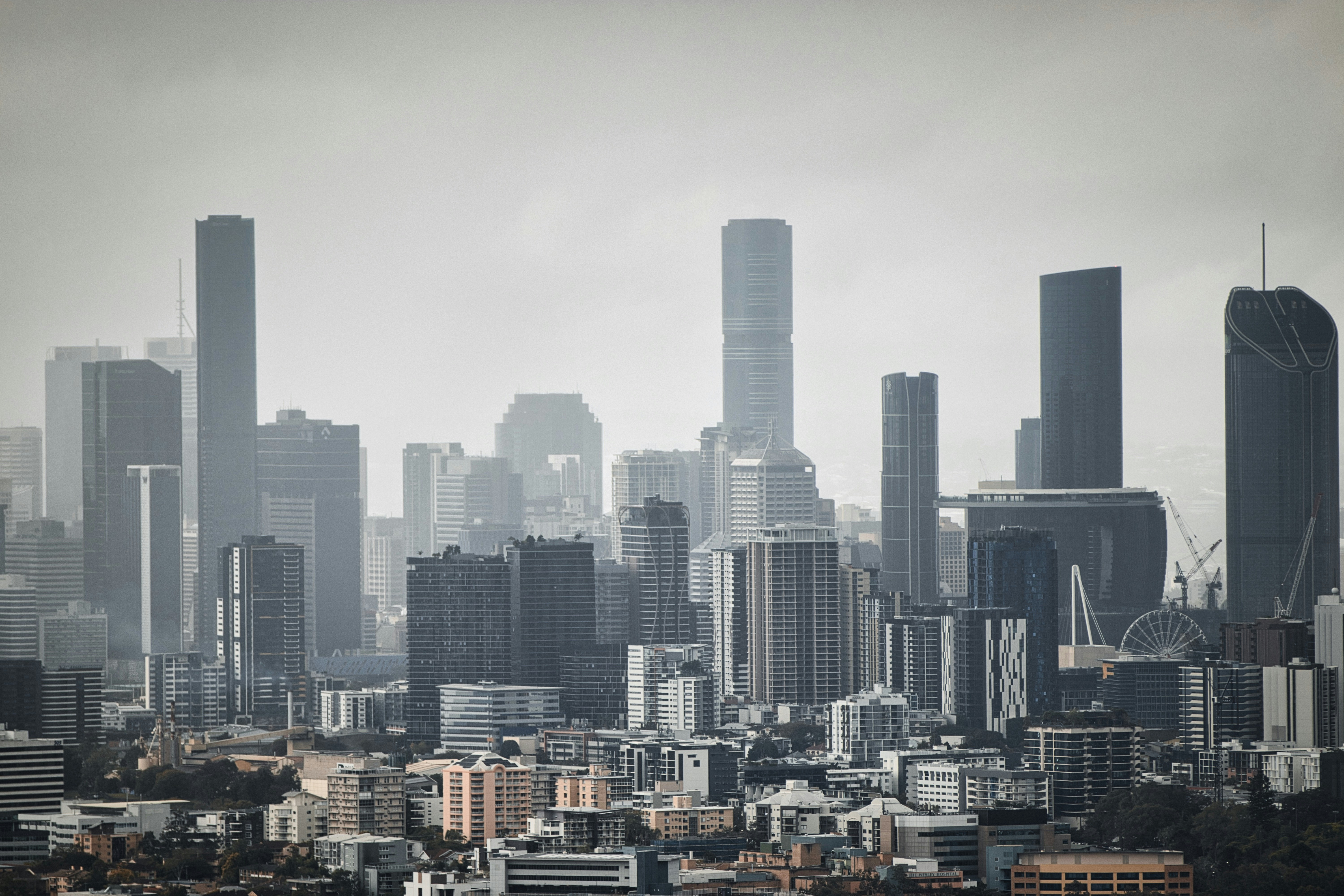 Photo by paws_and_prints