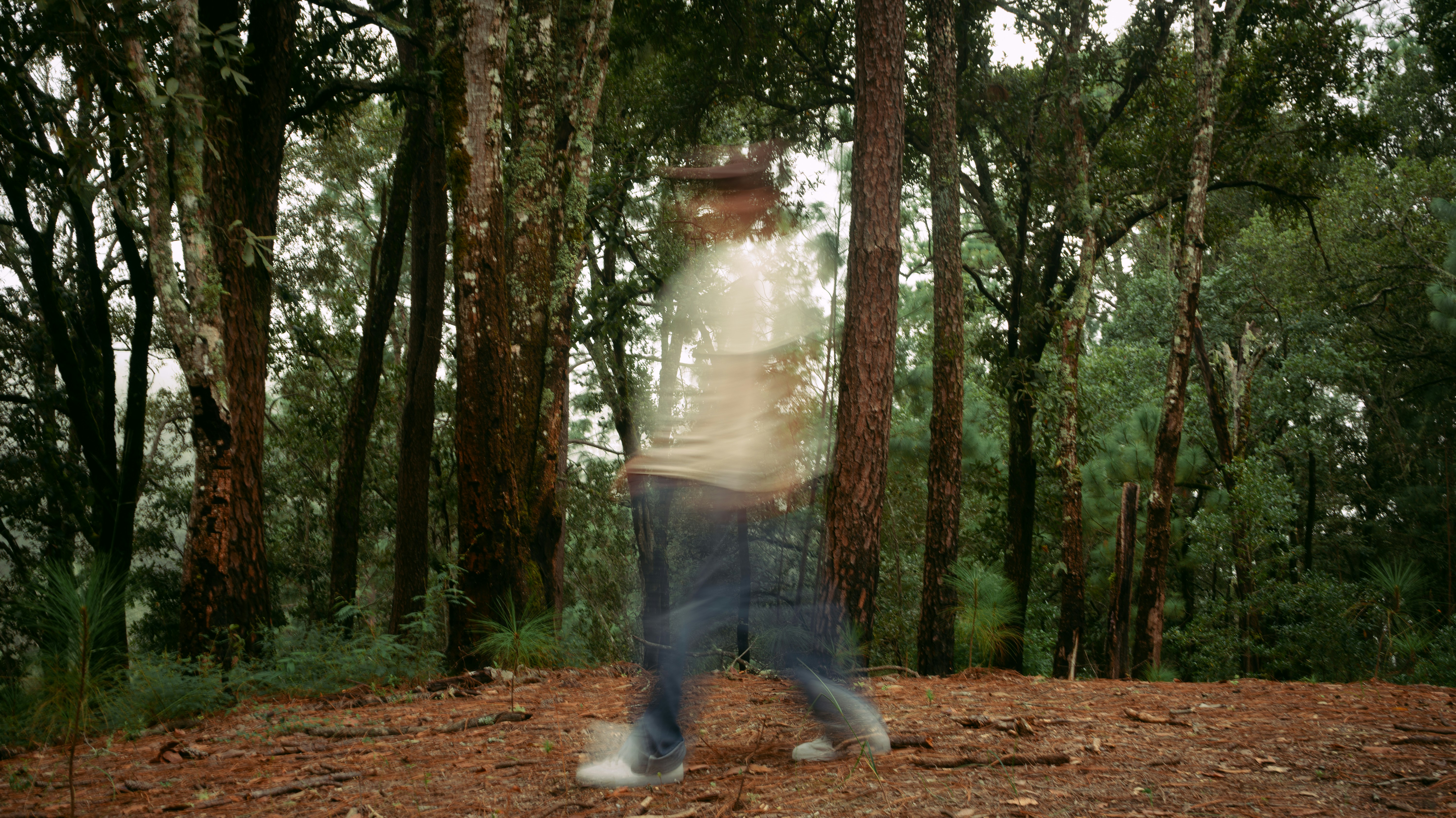 Photo by claudio_alba