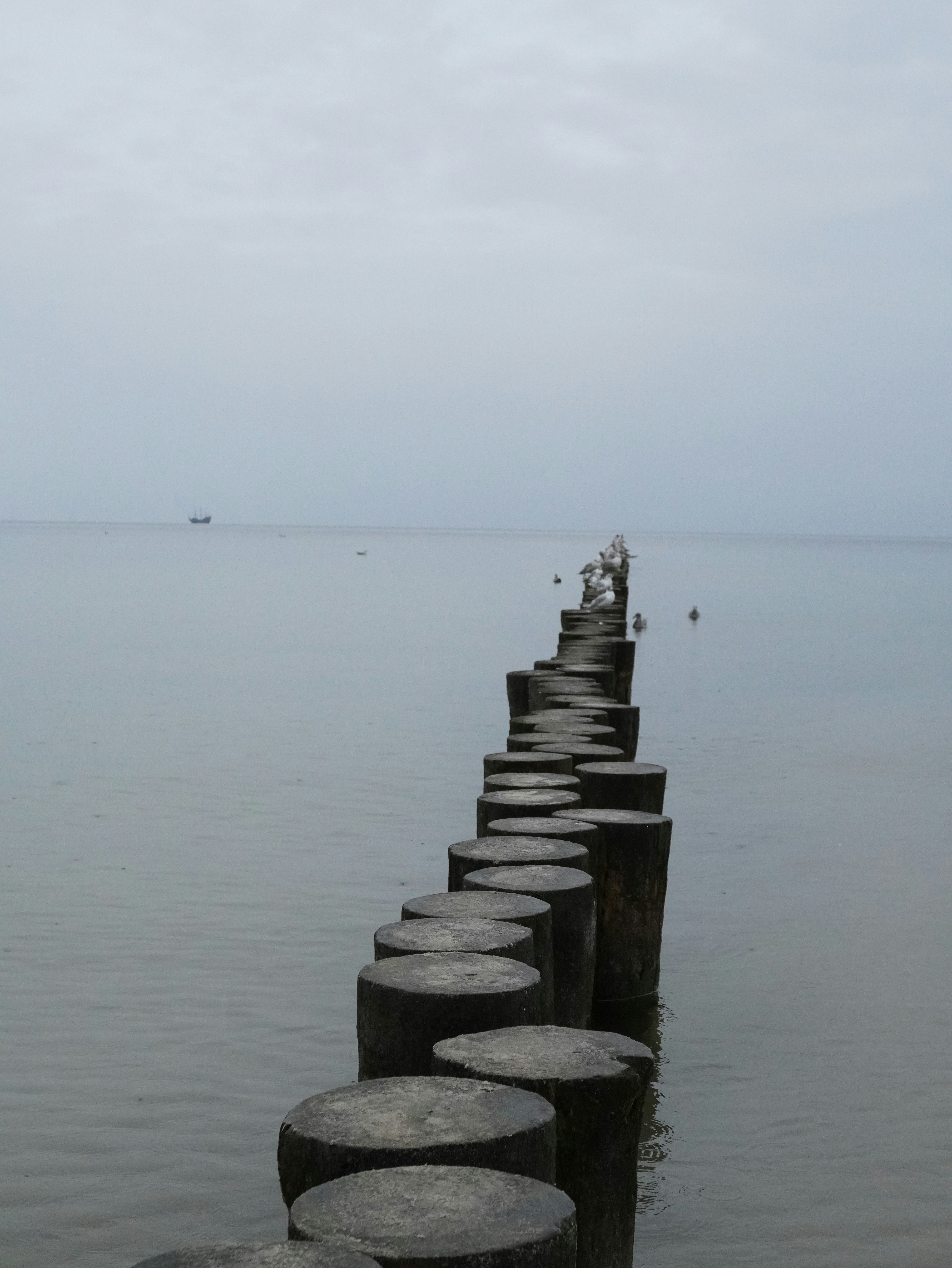 Photo by enamoradaaa