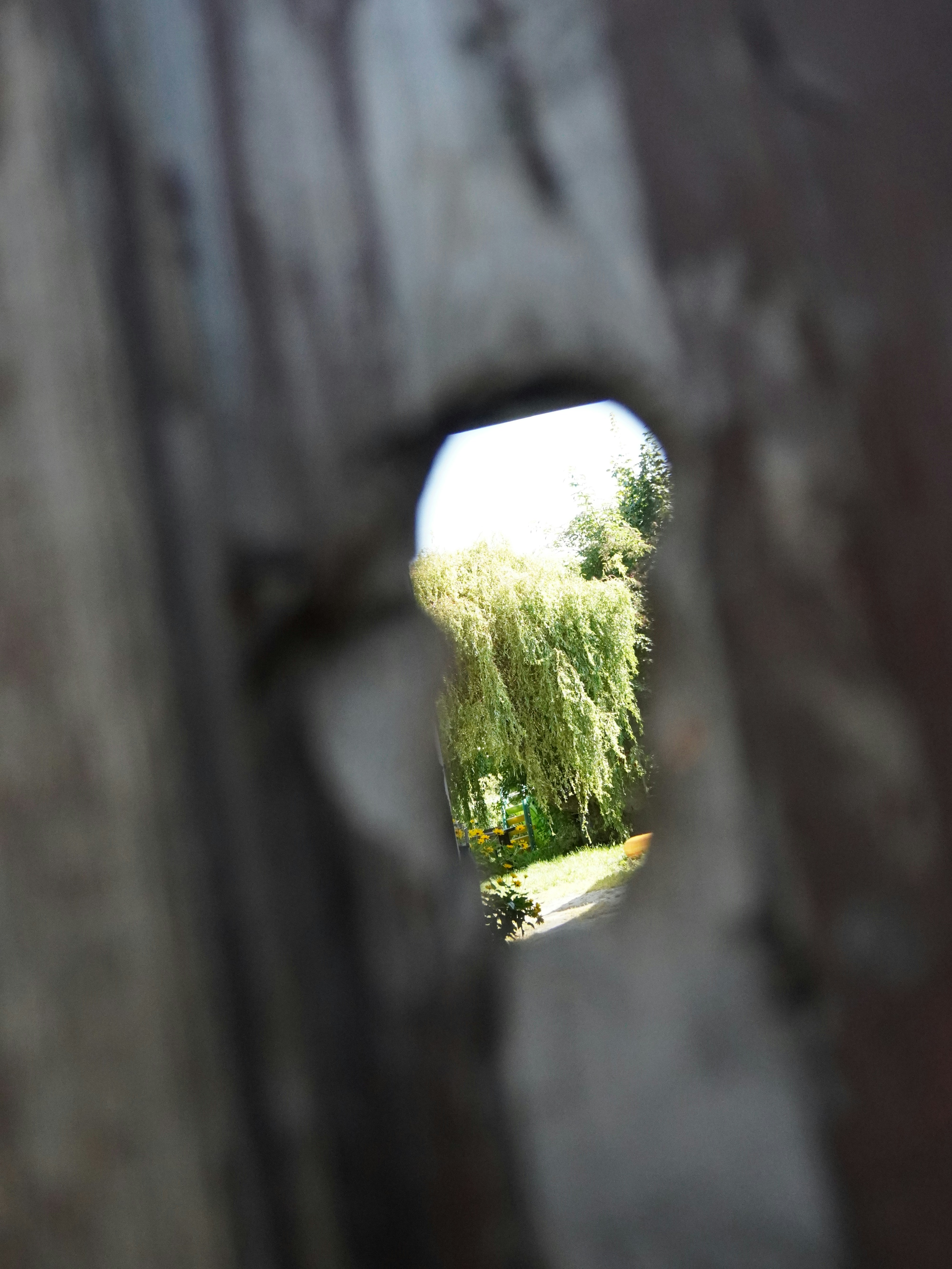 Photo by enamoradaaa