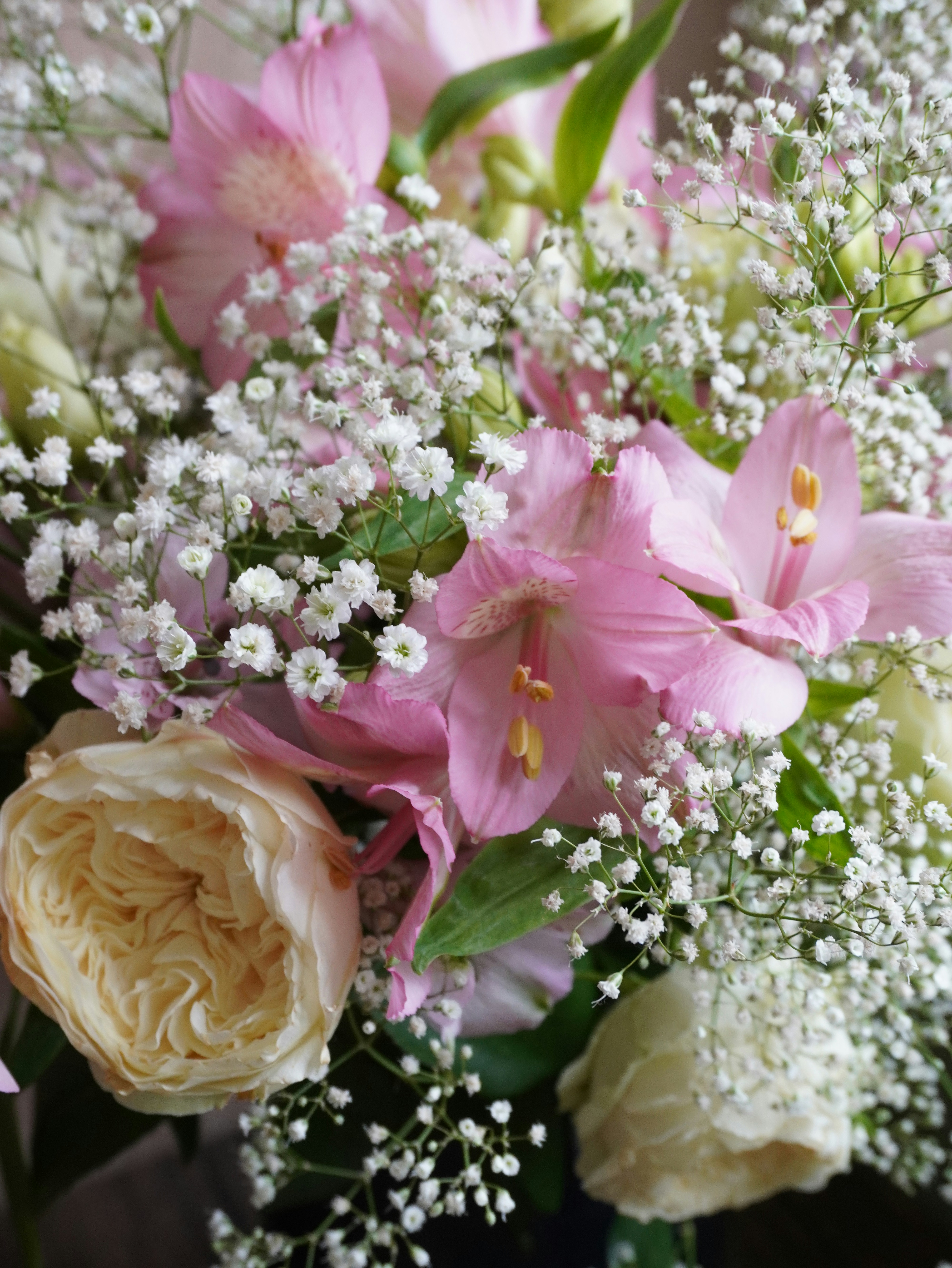 Photo by enamoradaaa