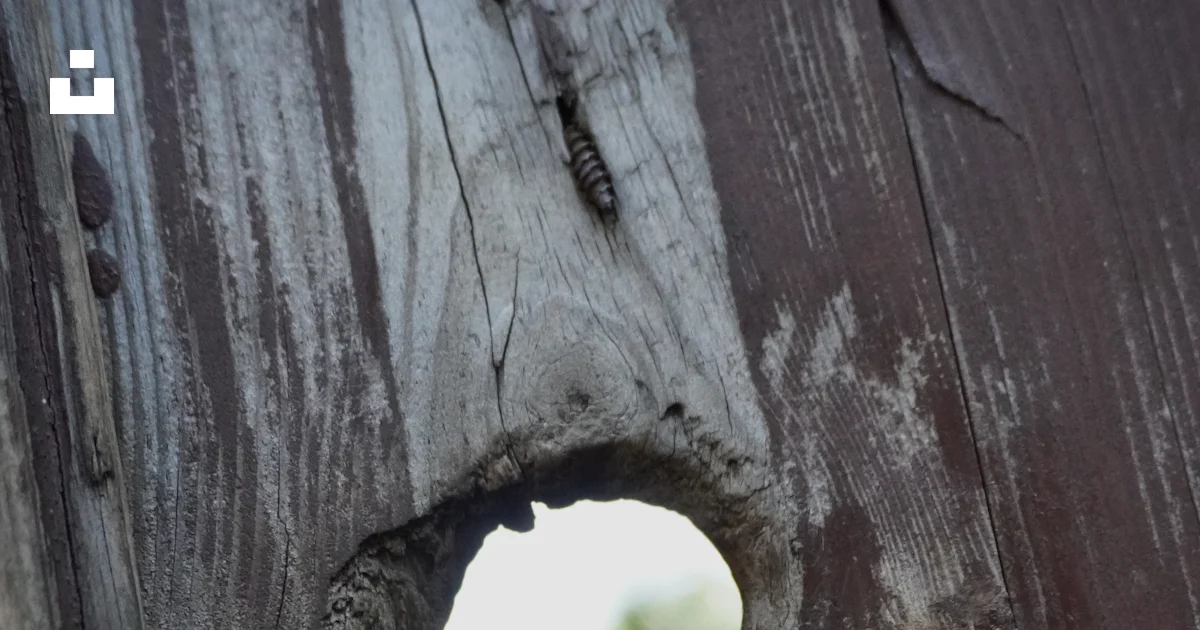 Keyhole Normal Texture Keyhole view through weathered wooden fence photo – Free Texture Image ...
