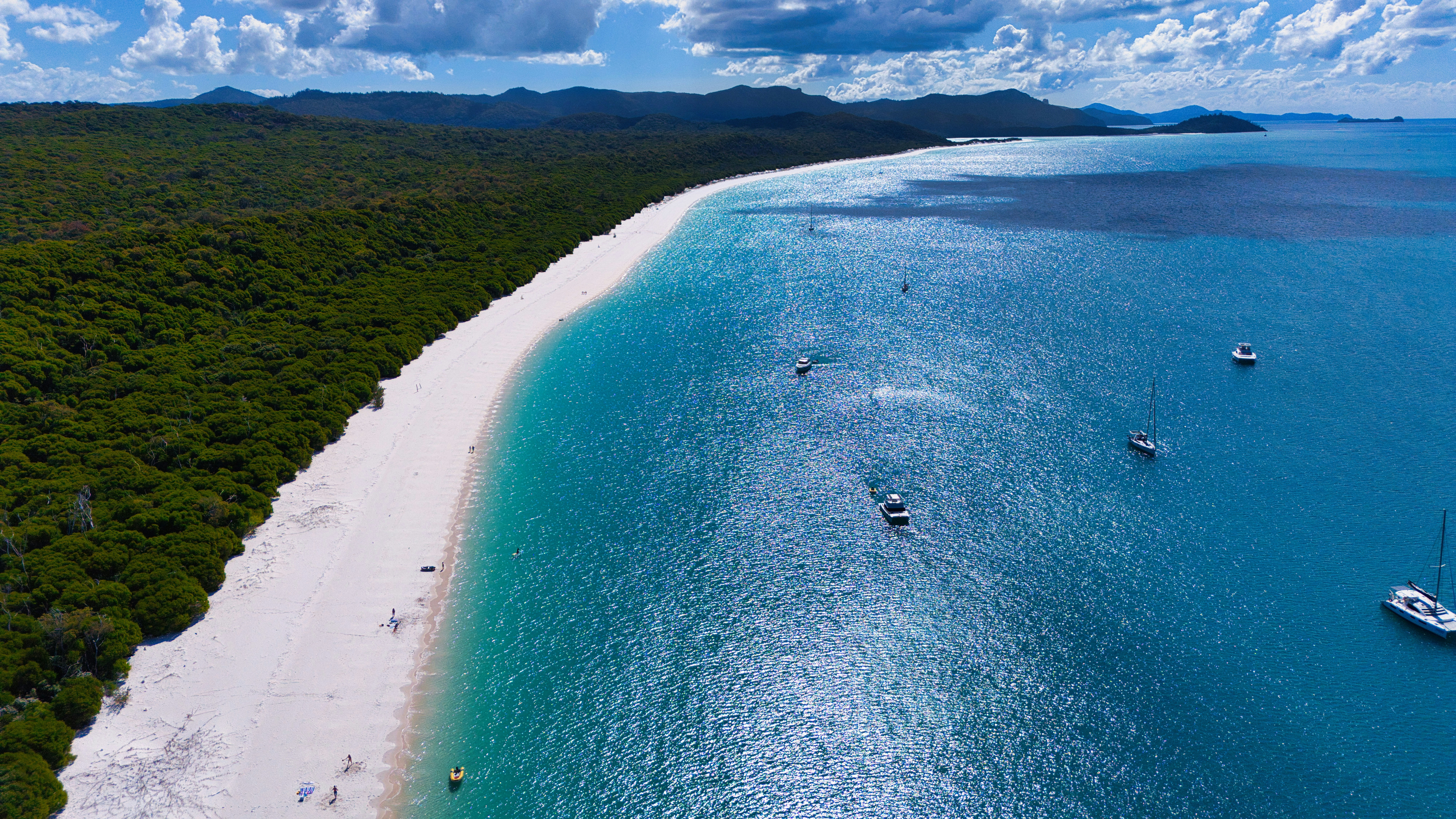 Photo by paws_and_prints