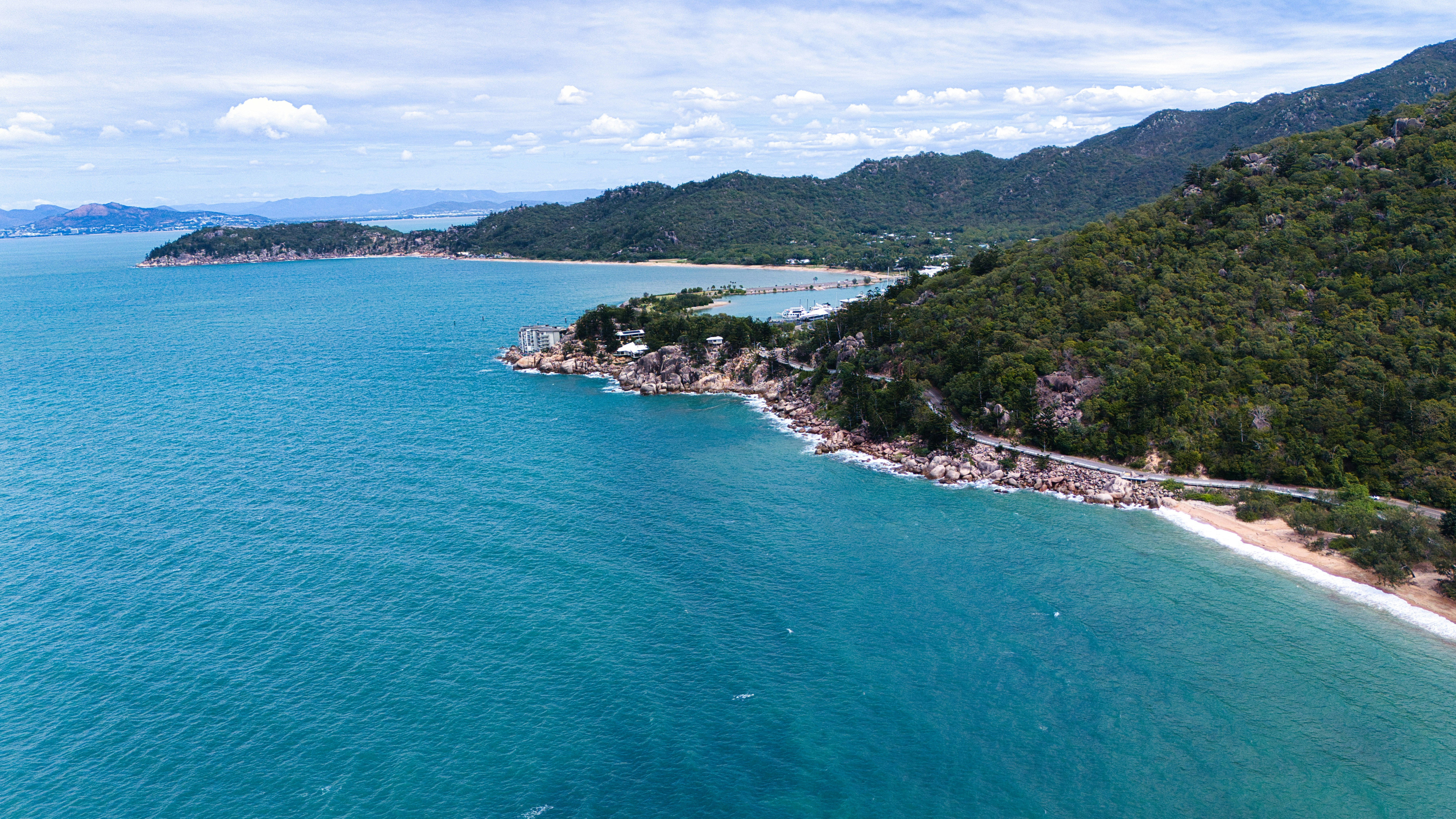 Photo by paws_and_prints