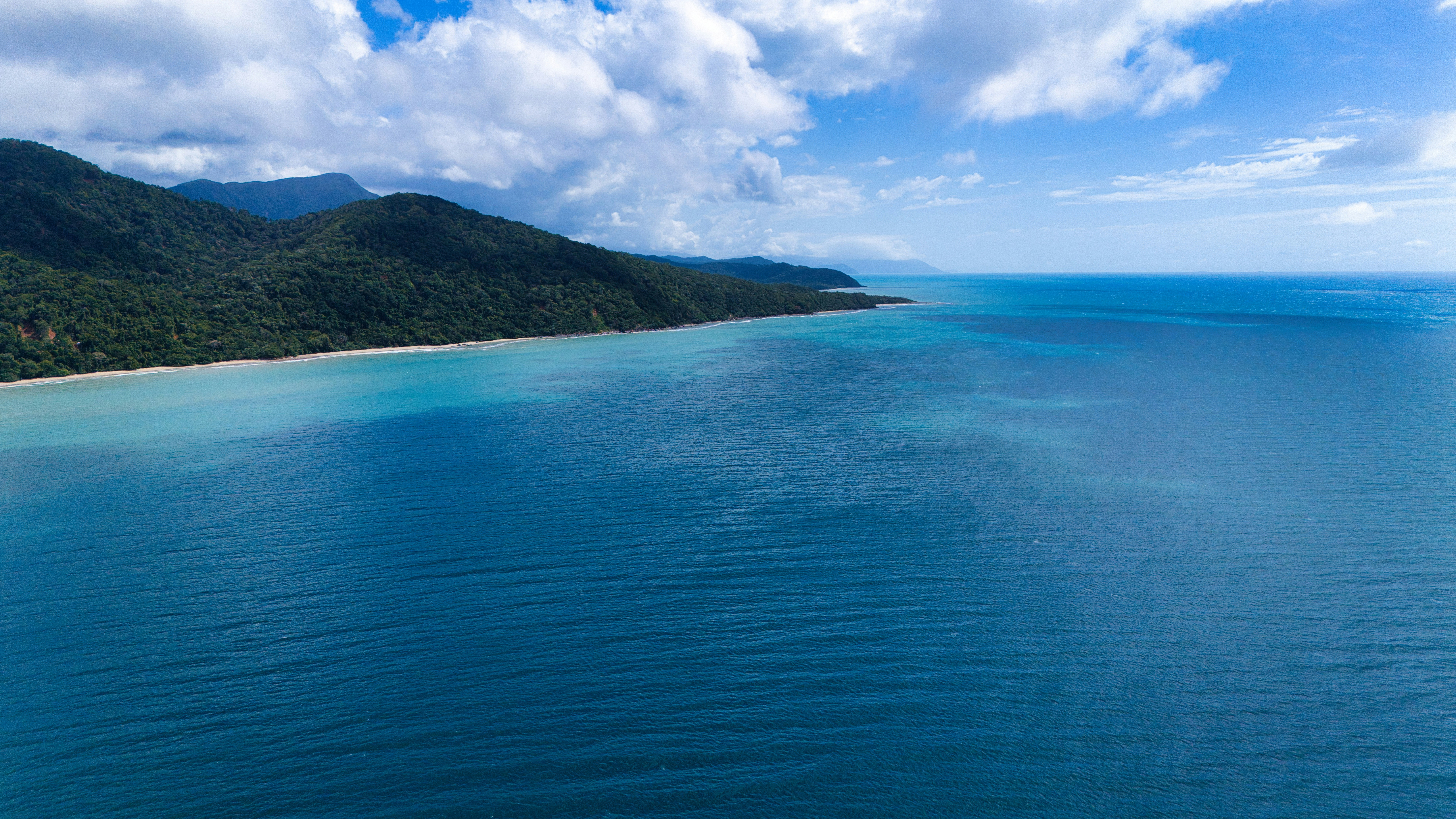 Photo by paws_and_prints