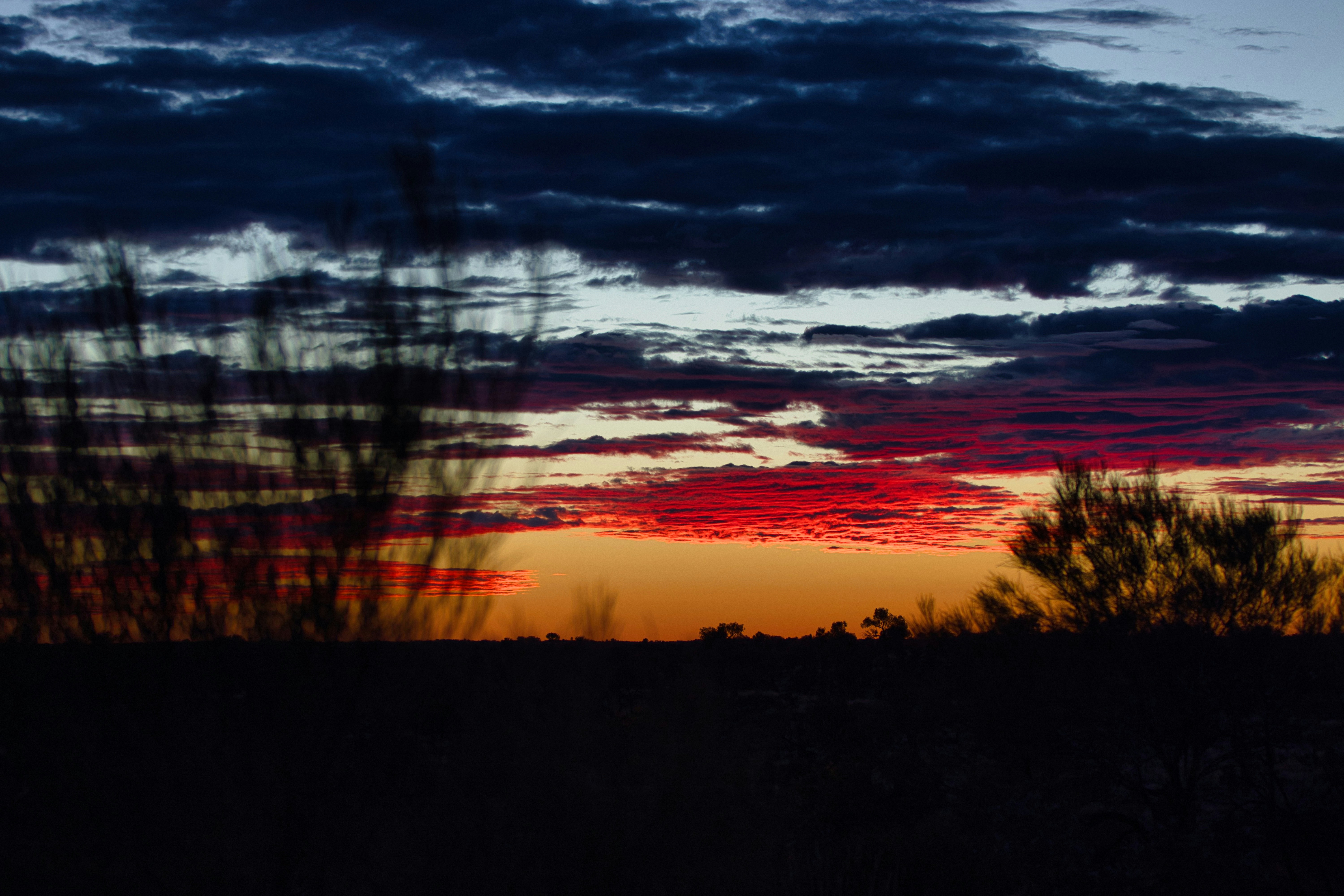 Photo by paws_and_prints