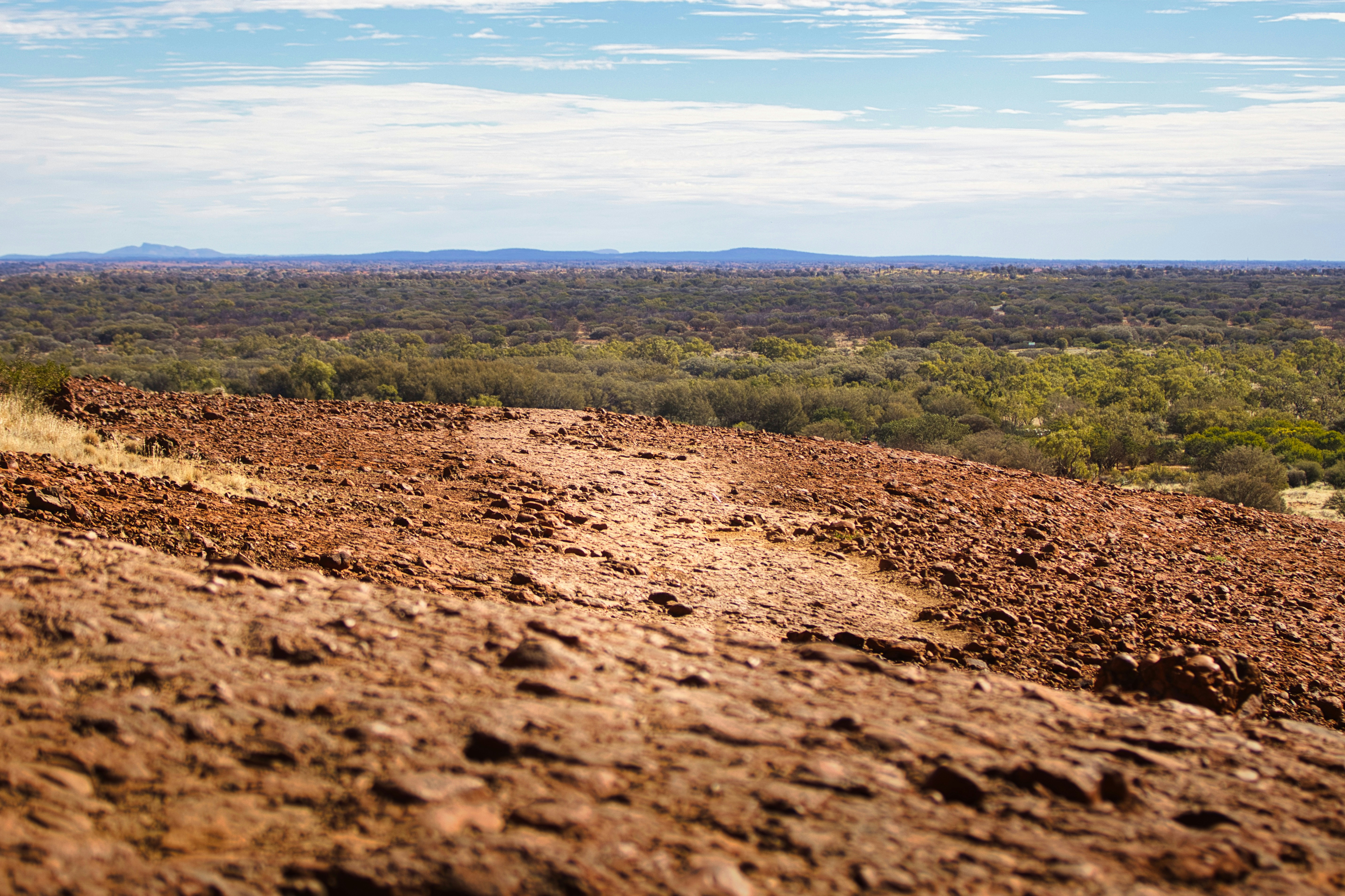 Photo by paws_and_prints