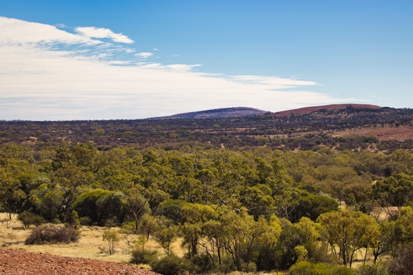 Barossa Valley Australia wine country