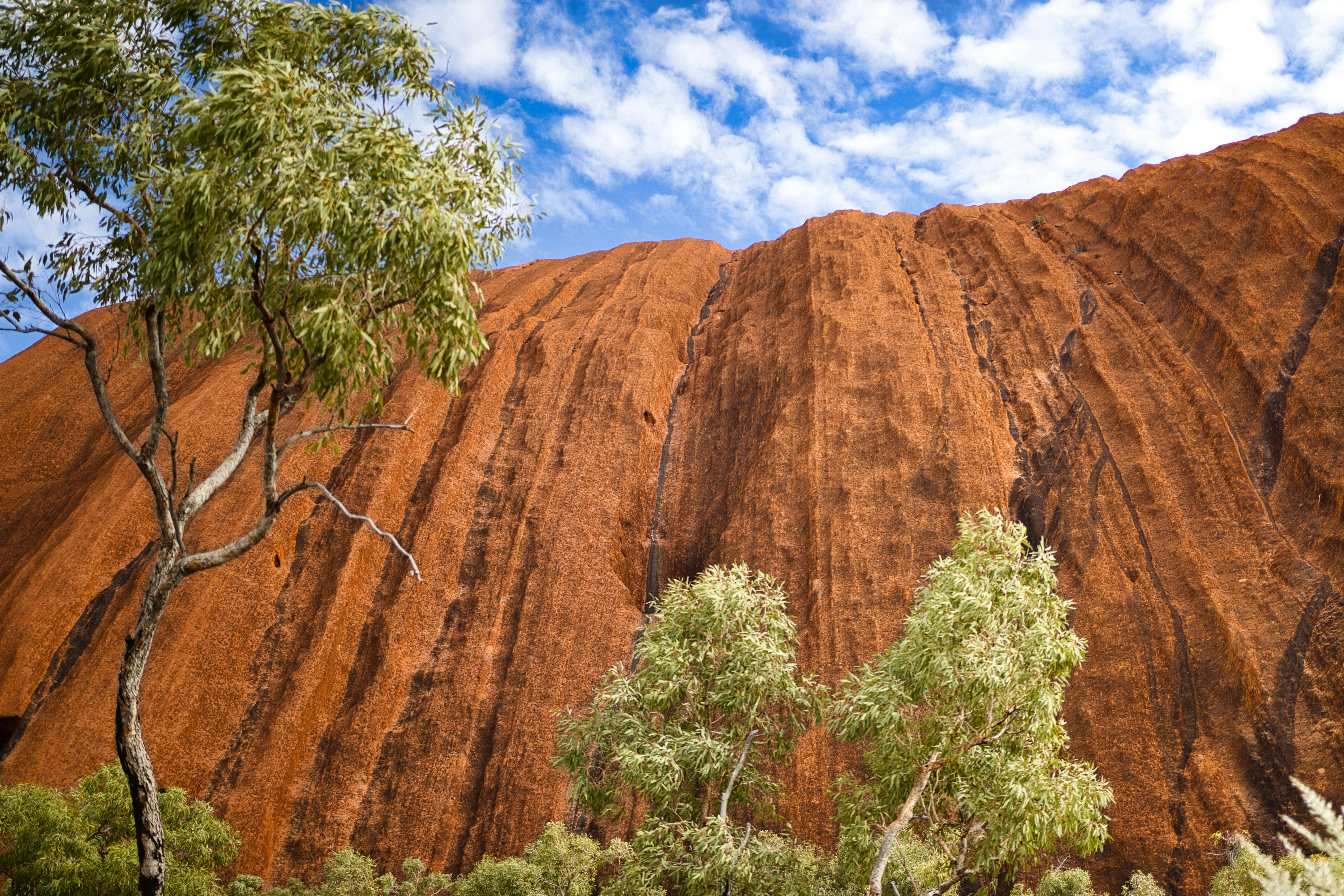 Photo by paws_and_prints