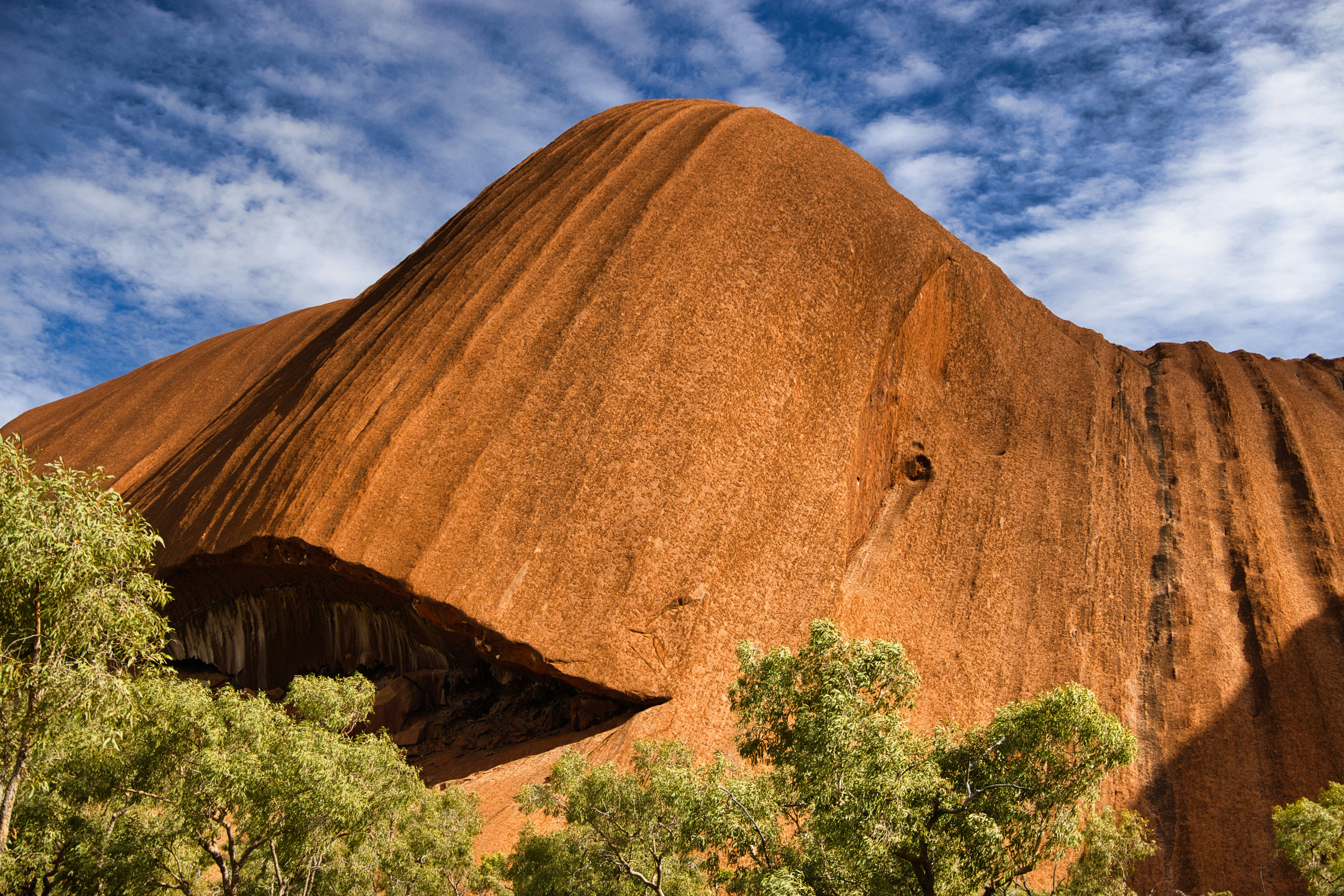 Photo by paws_and_prints