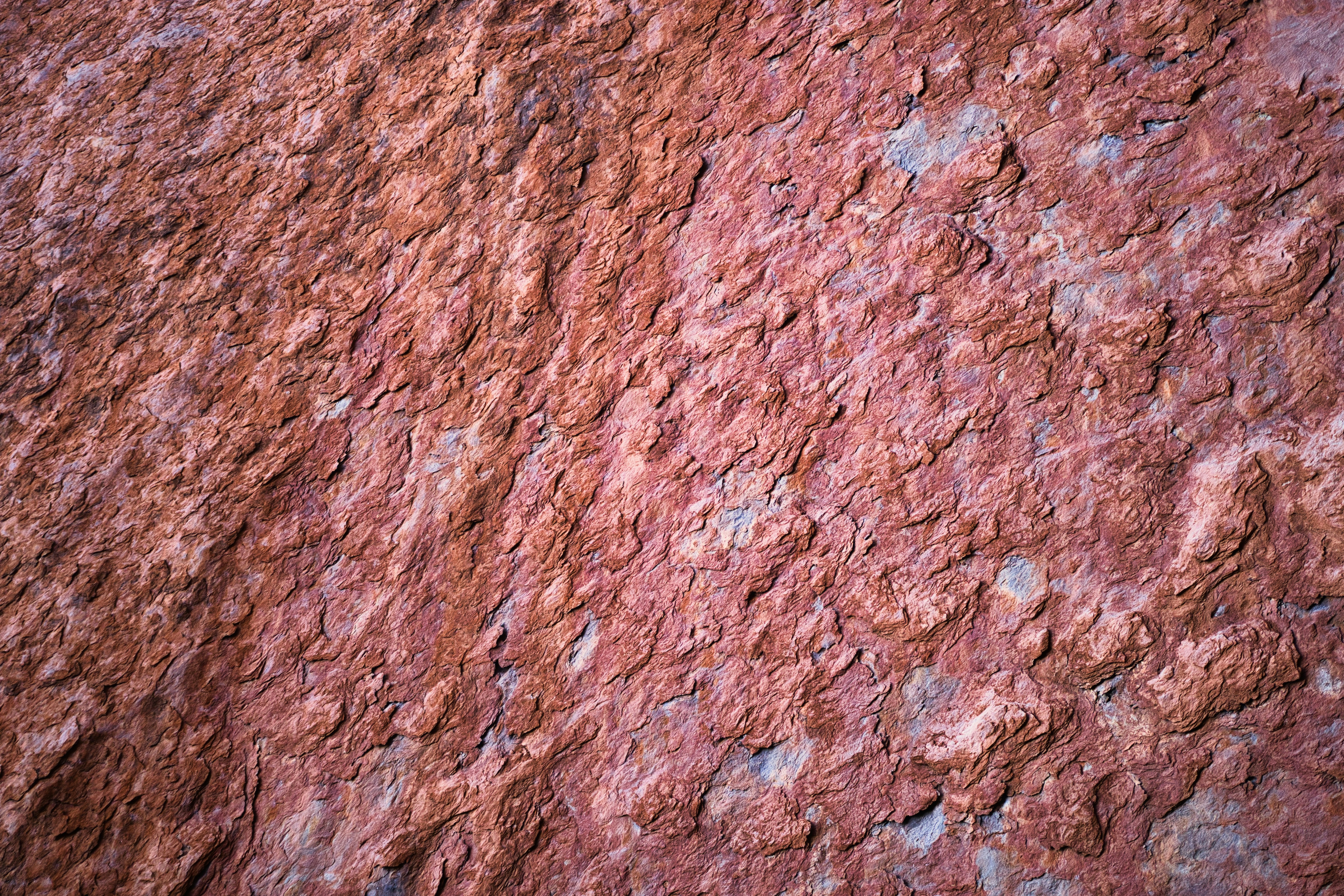 Photo by paws_and_prints