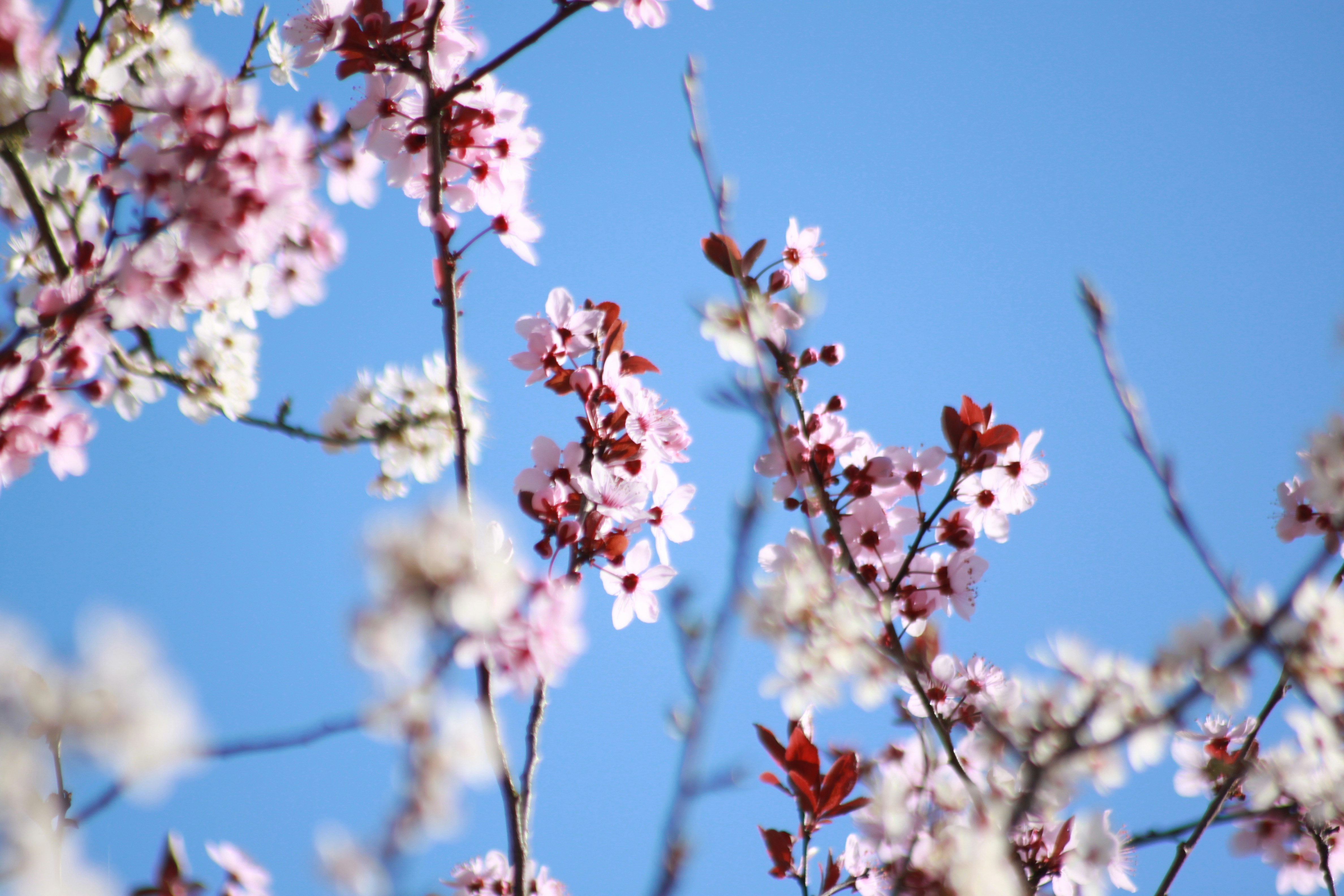 Photo by bezumenkomykhailo