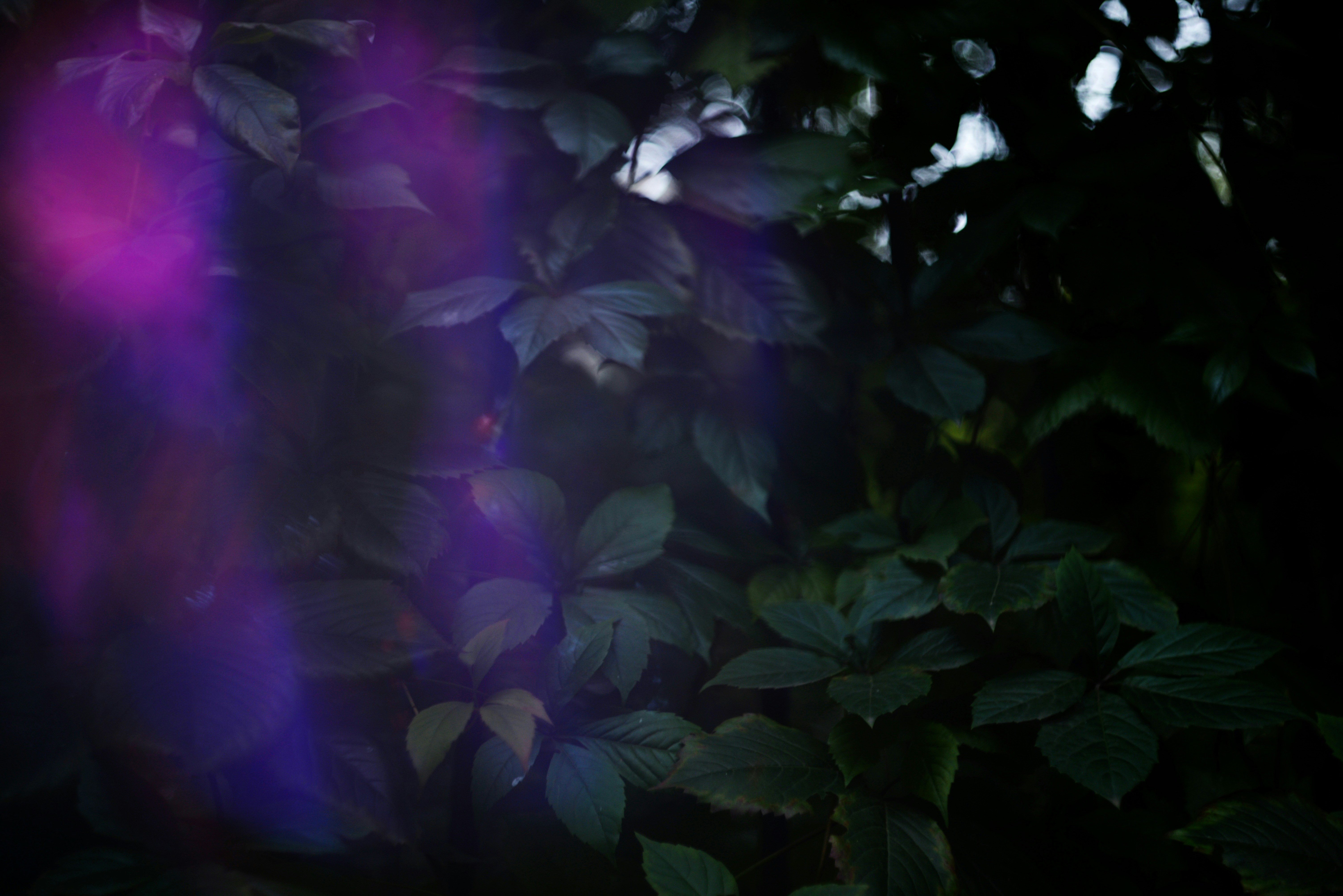 Photo by cherstve_pechivo