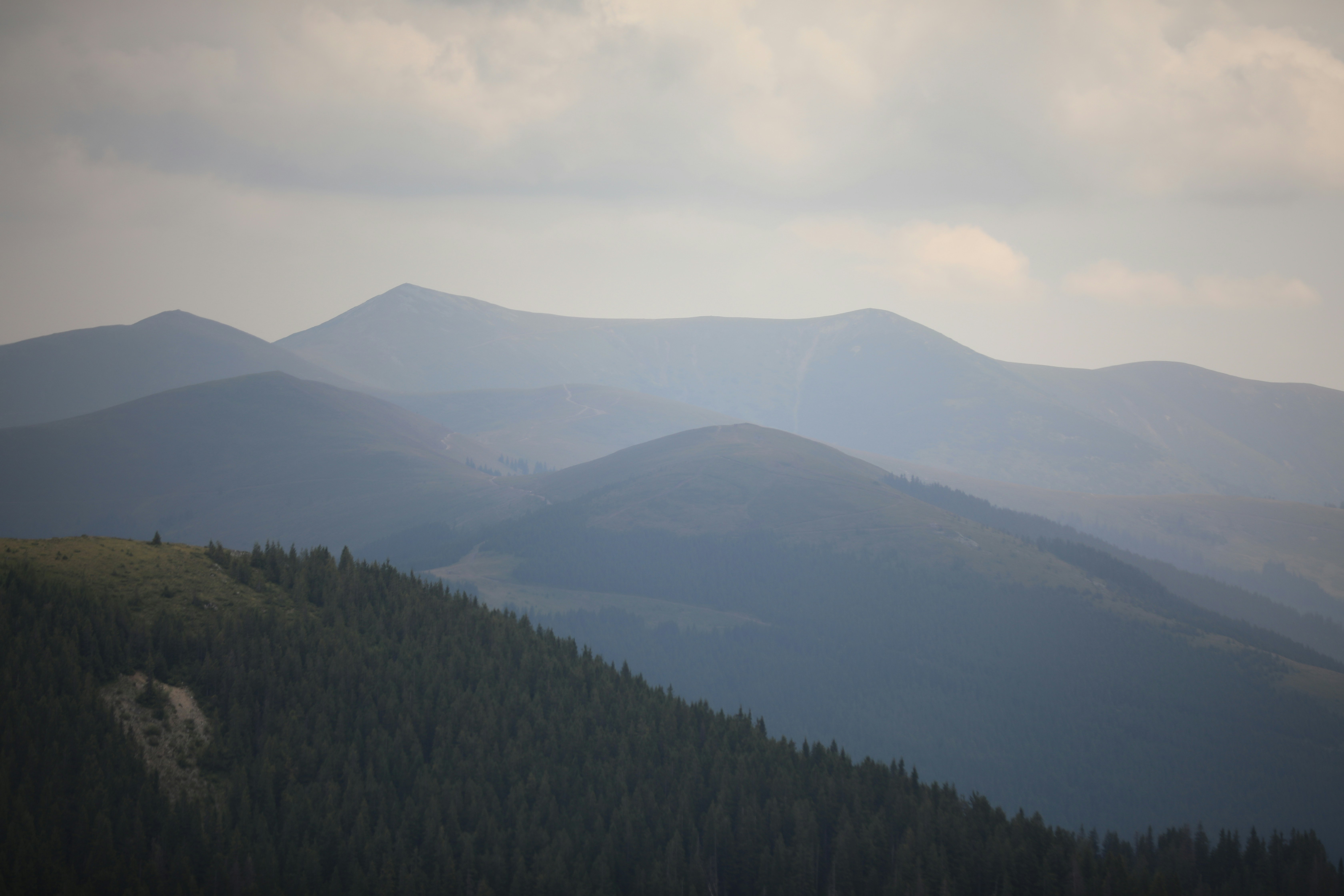 Photo by ovidiugruescu