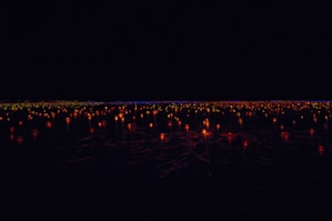 A field of glowing lights at night