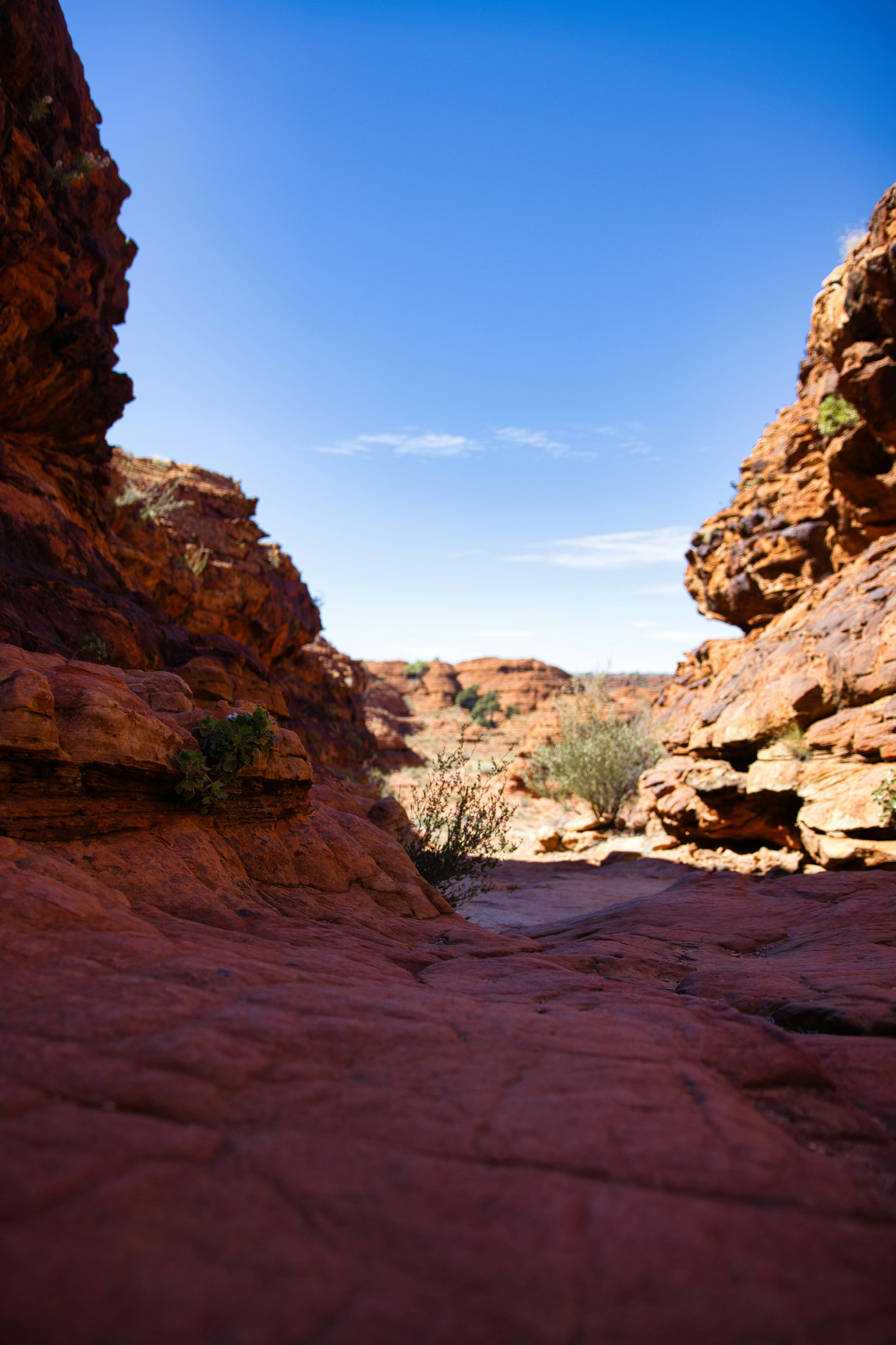 Photo by paws_and_prints