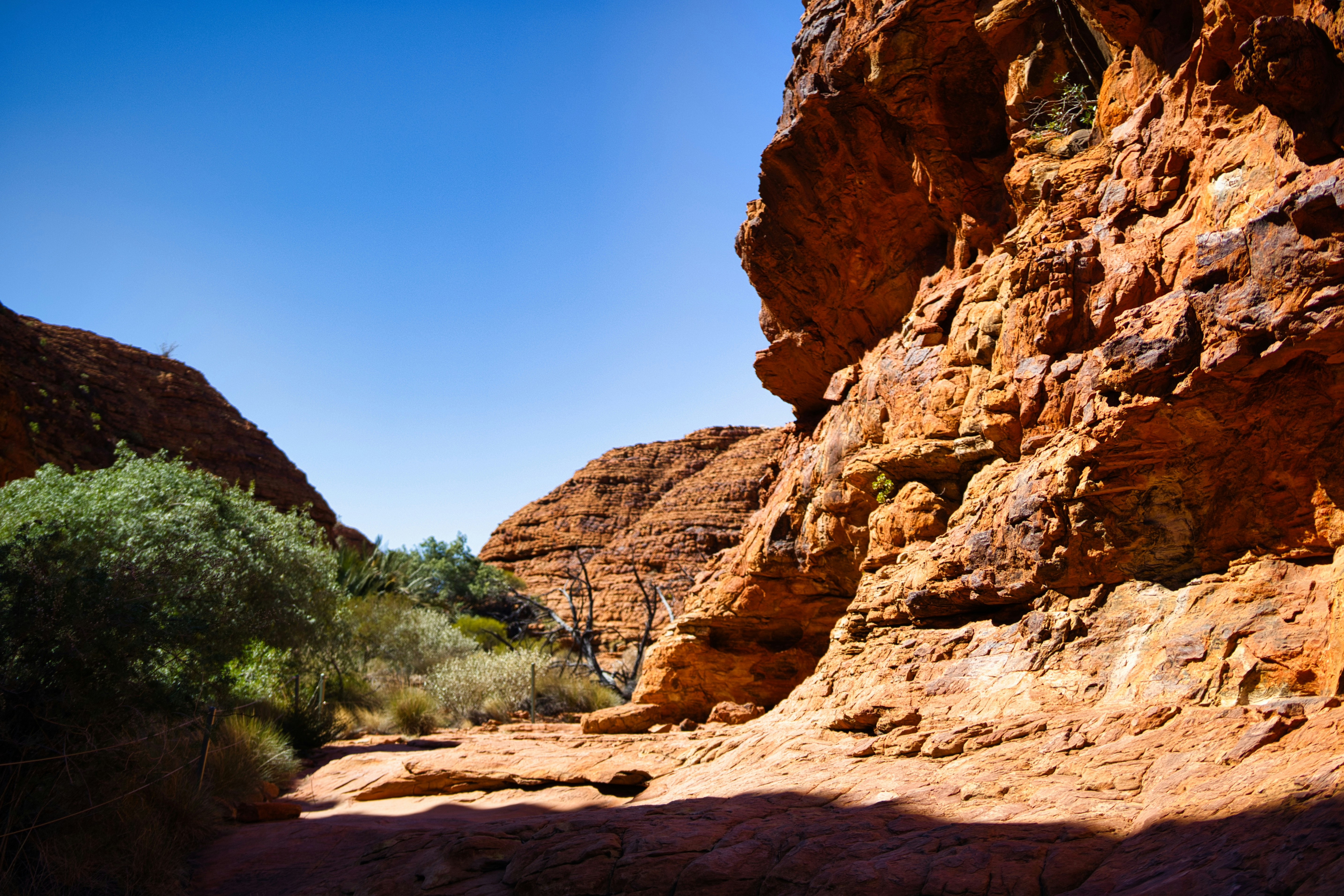 Photo by paws_and_prints