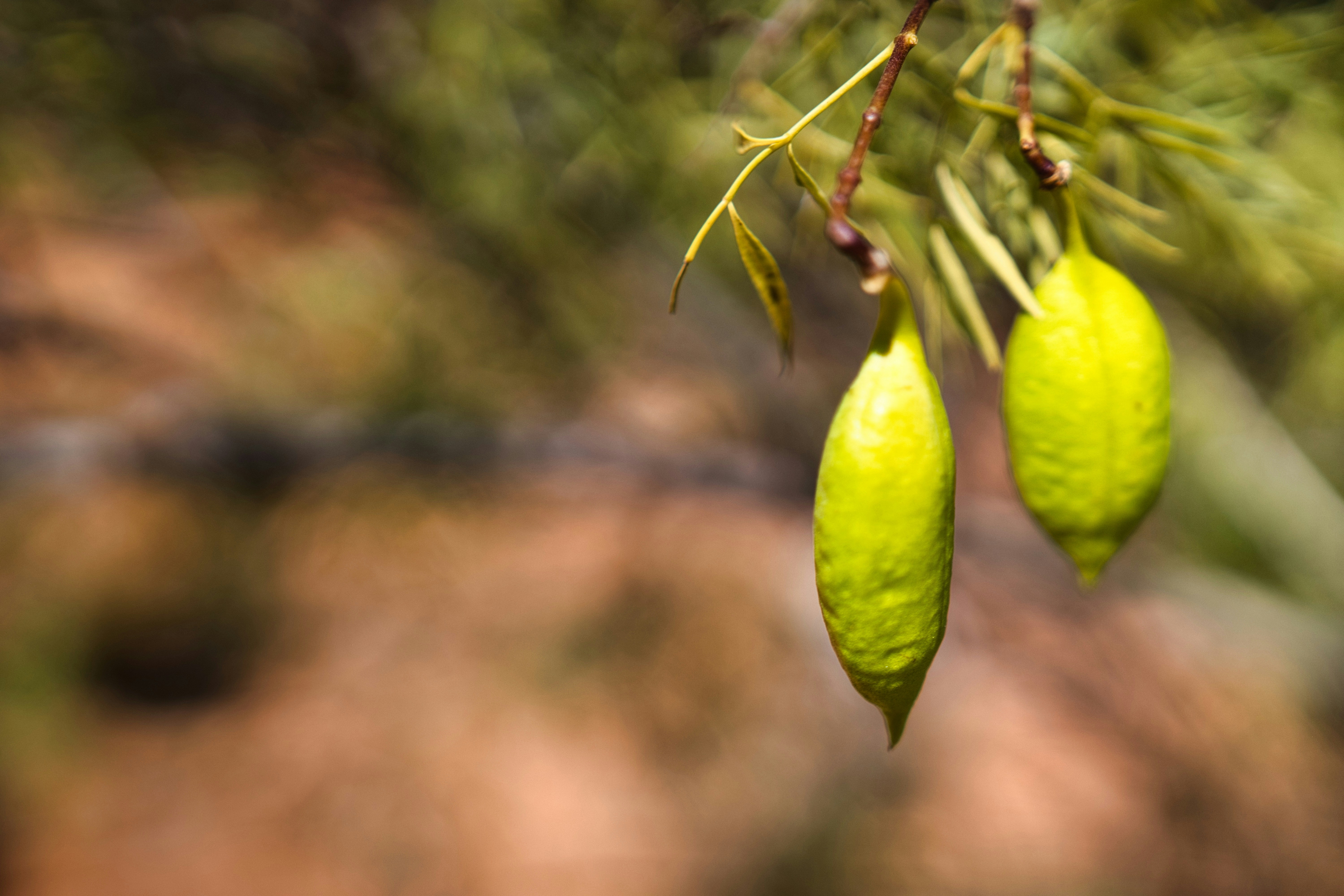 Photo by paws_and_prints