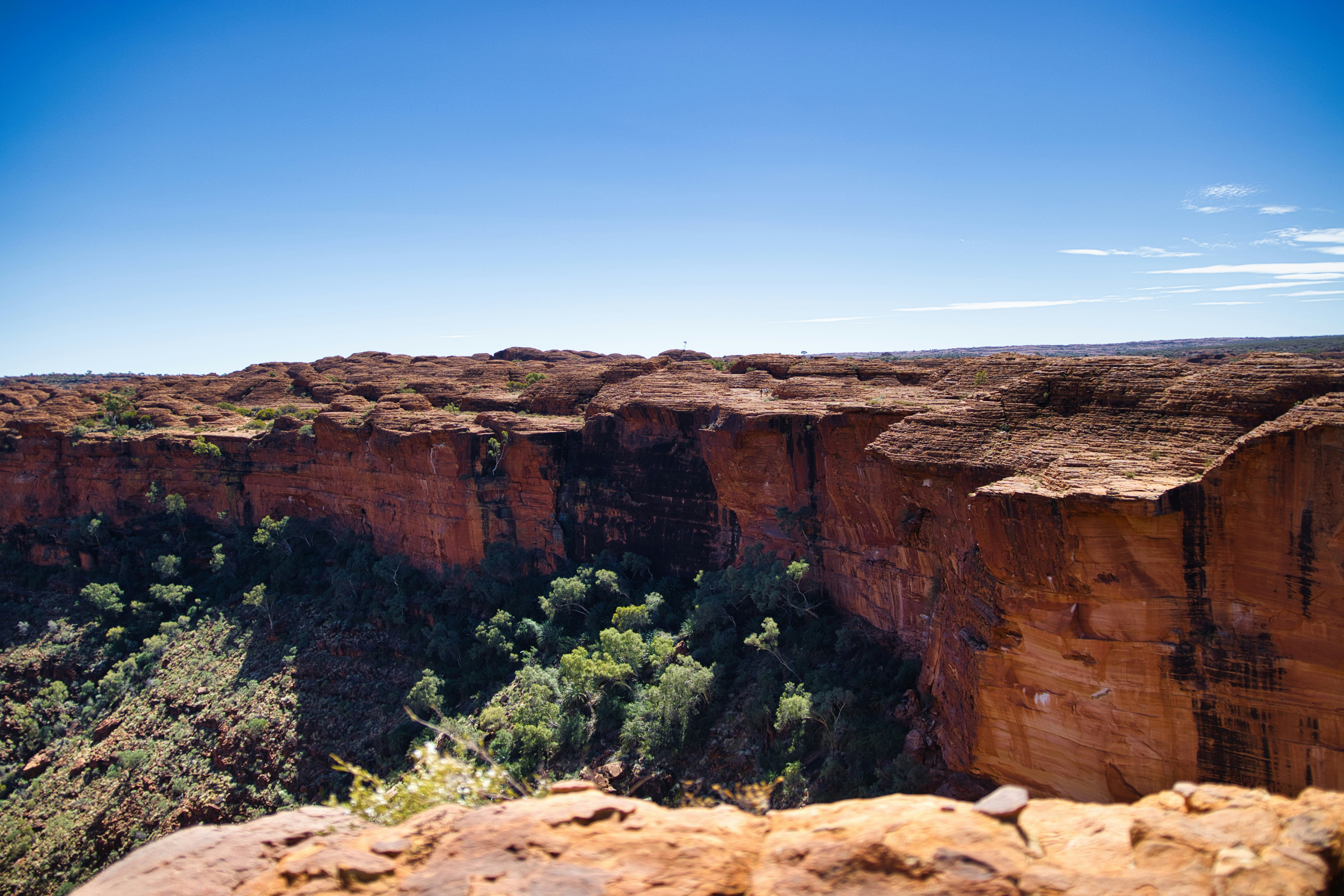 Photo by paws_and_prints