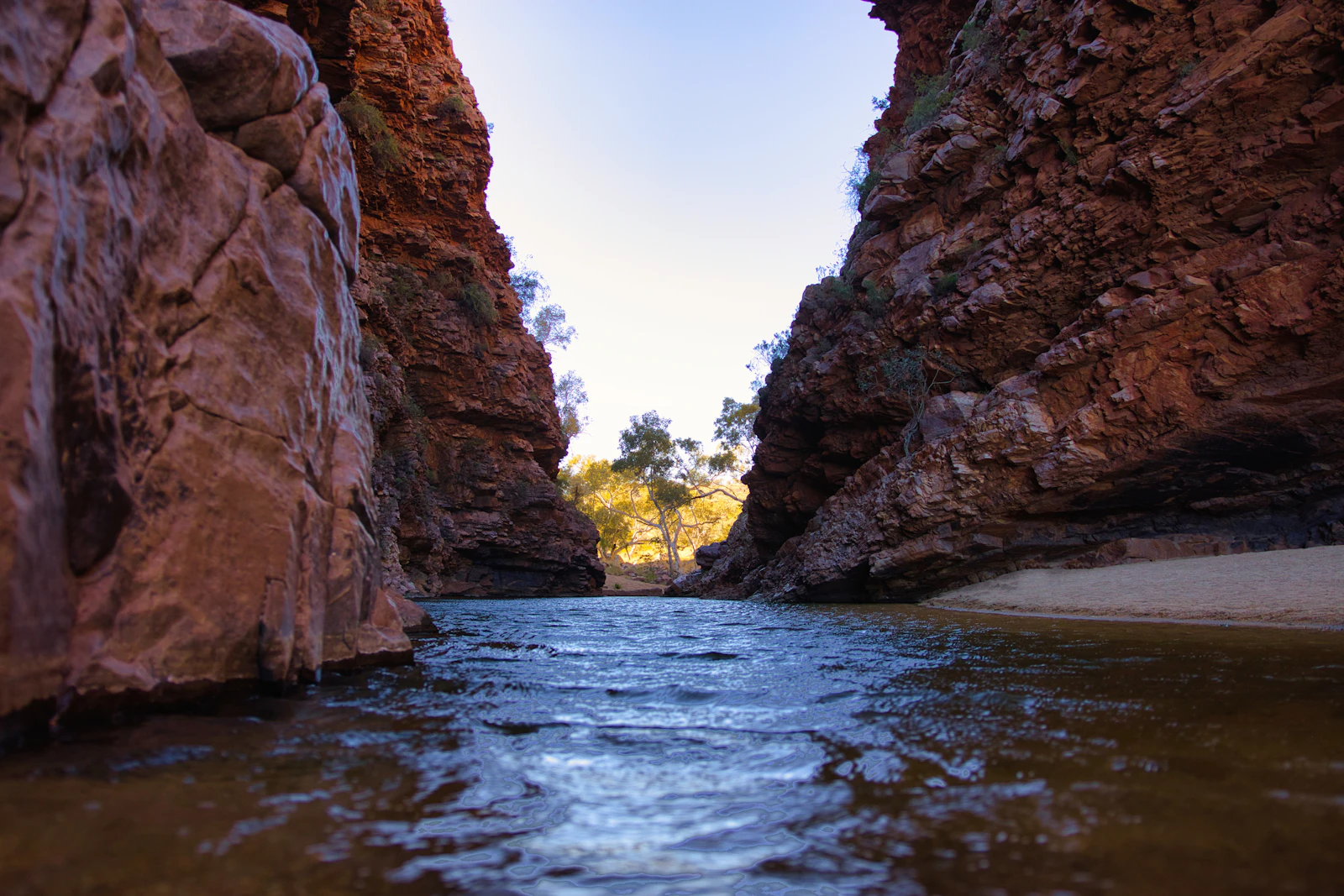 Rivière sinueuse au cœur d'une gorge — paws_and_prints / Unsplash