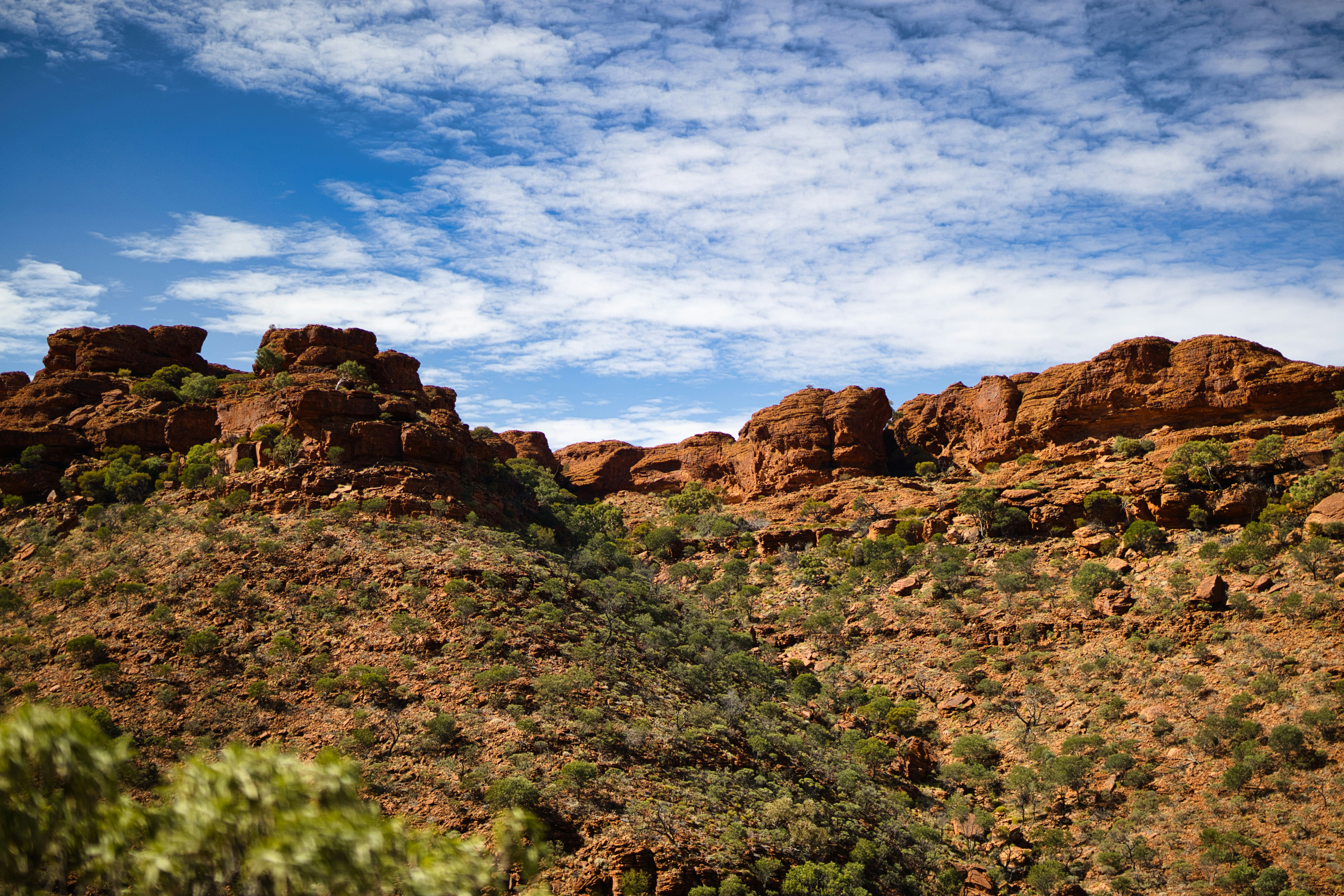 Photo by paws_and_prints