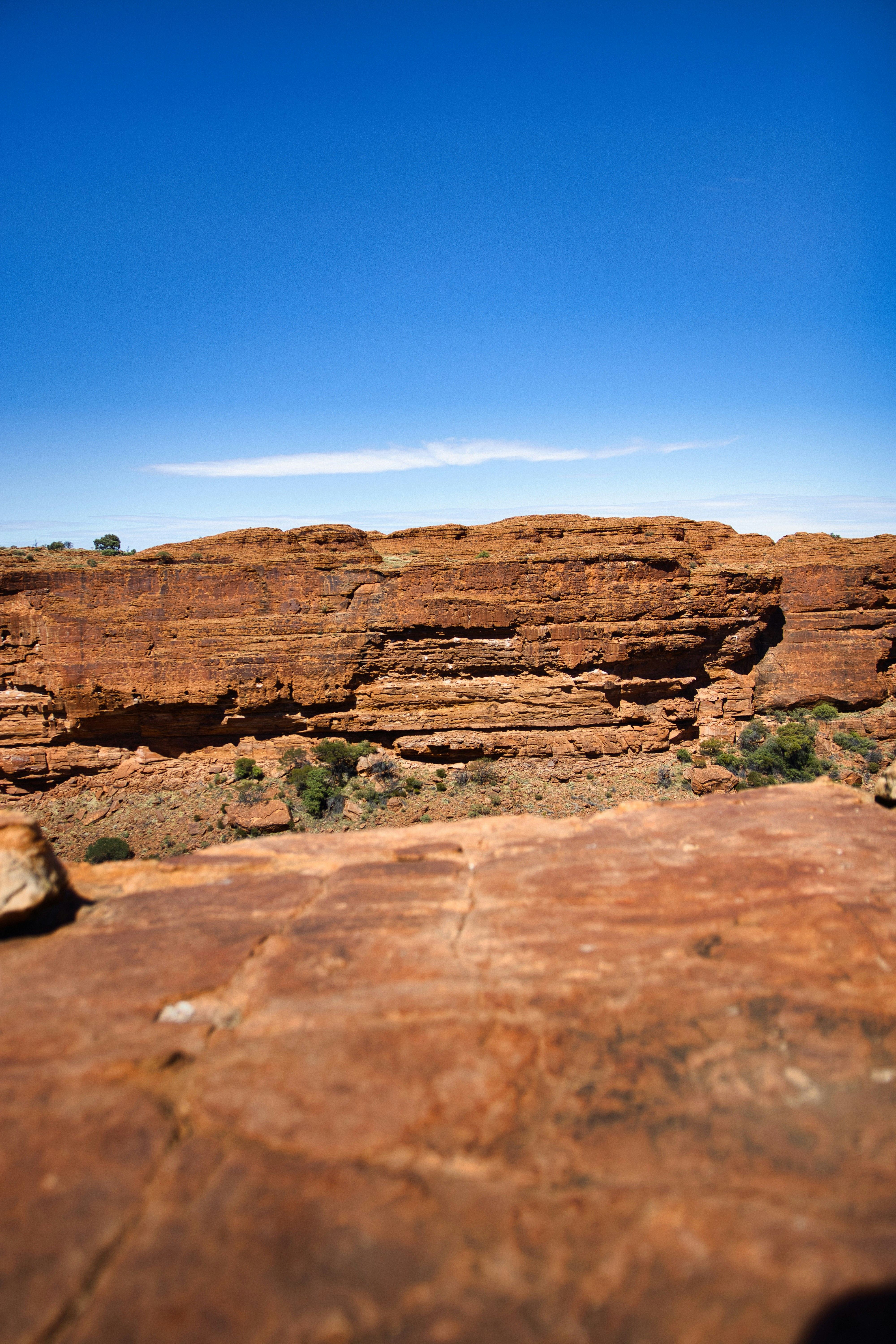 Photo by paws_and_prints