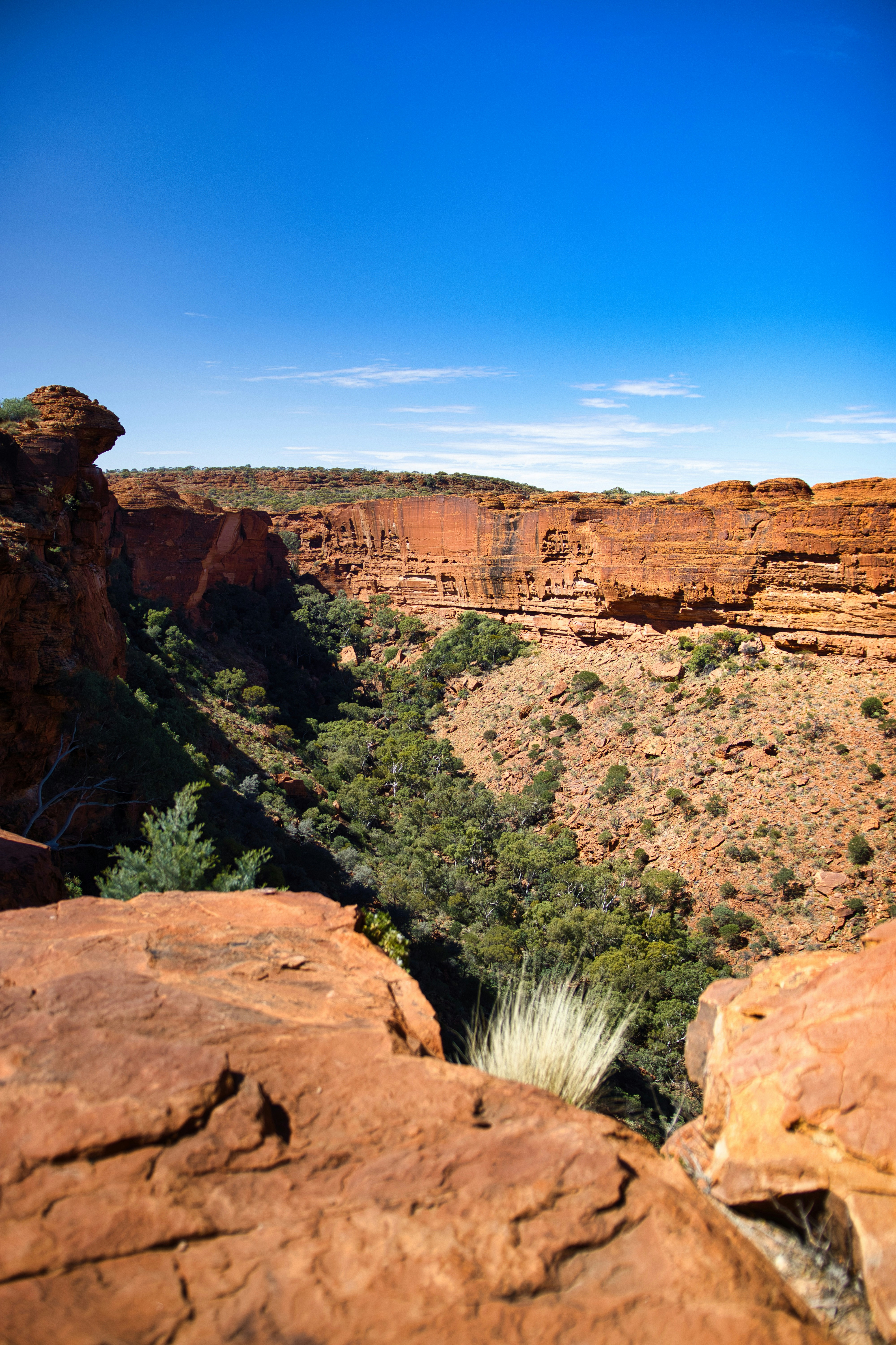 Photo by paws_and_prints