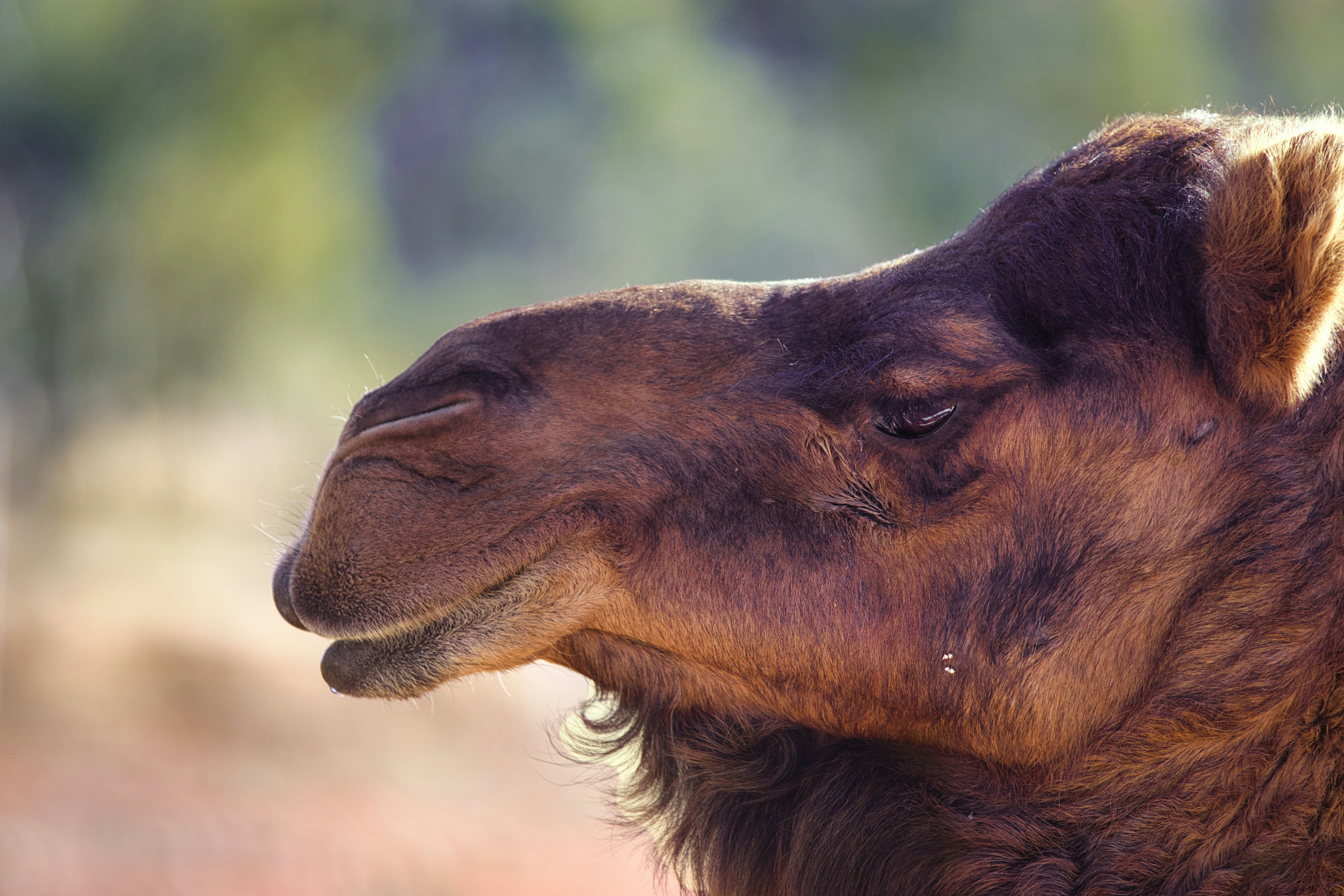 Photo by paws_and_prints