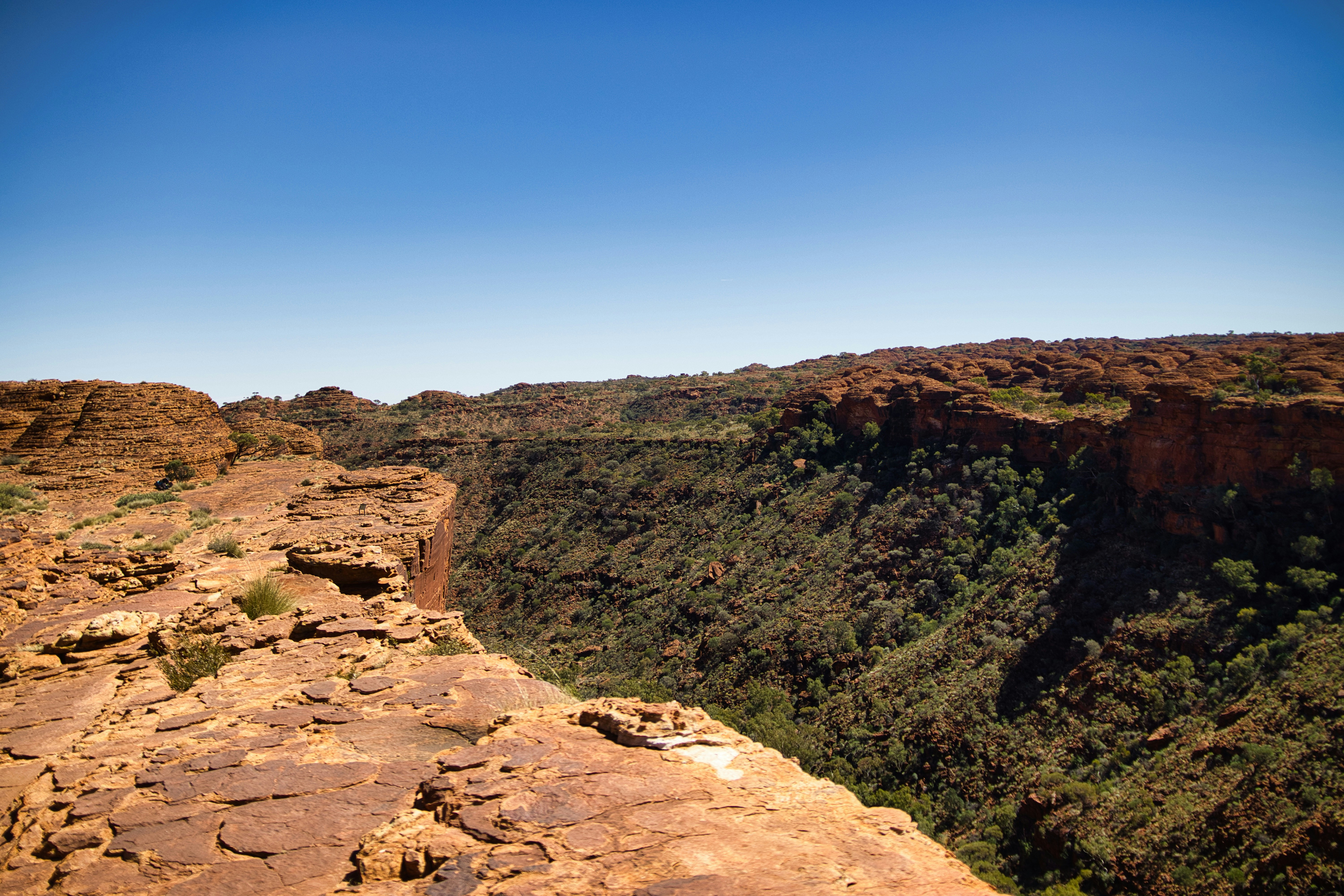 Photo by paws_and_prints