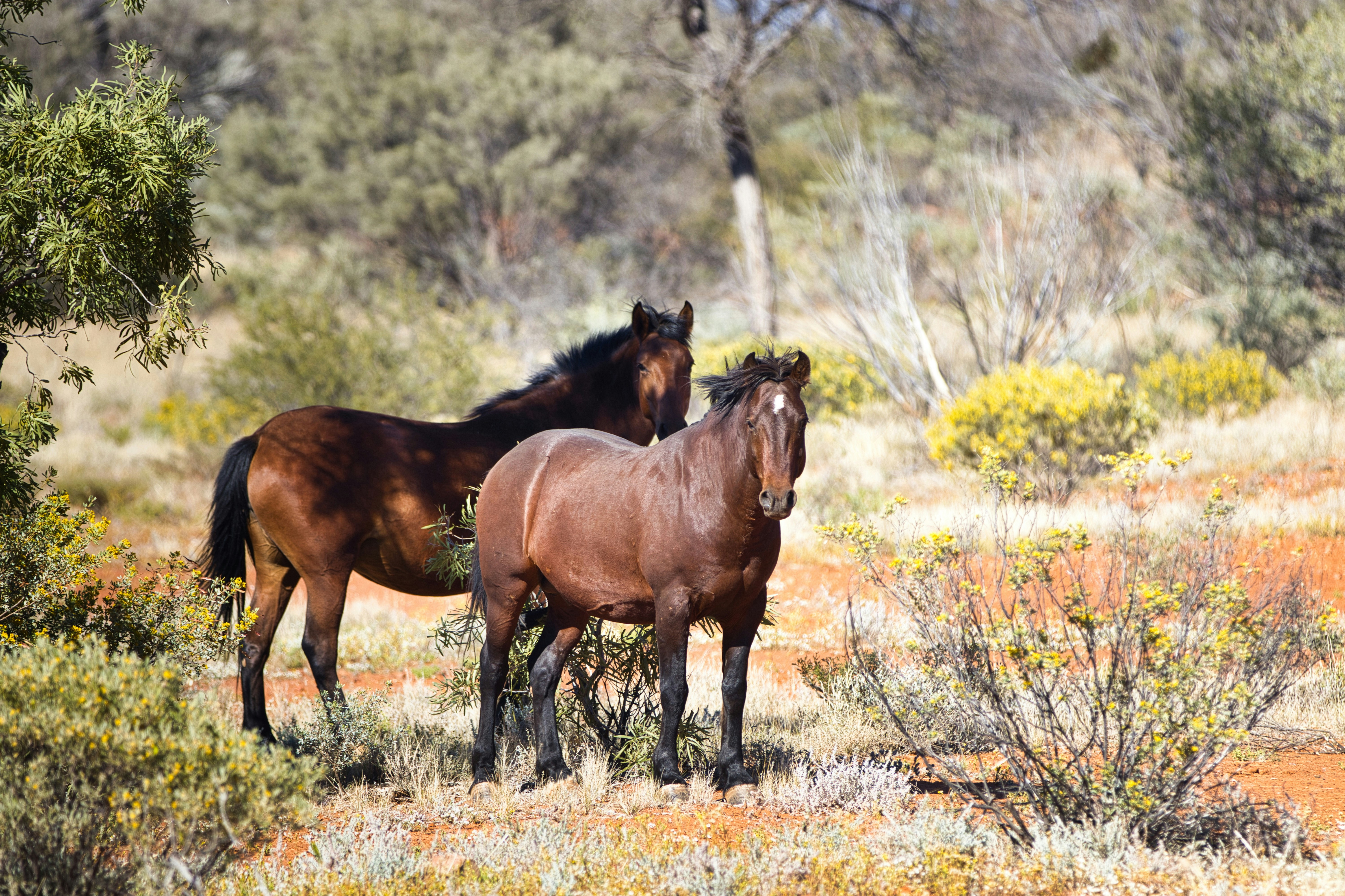 Photo by paws_and_prints