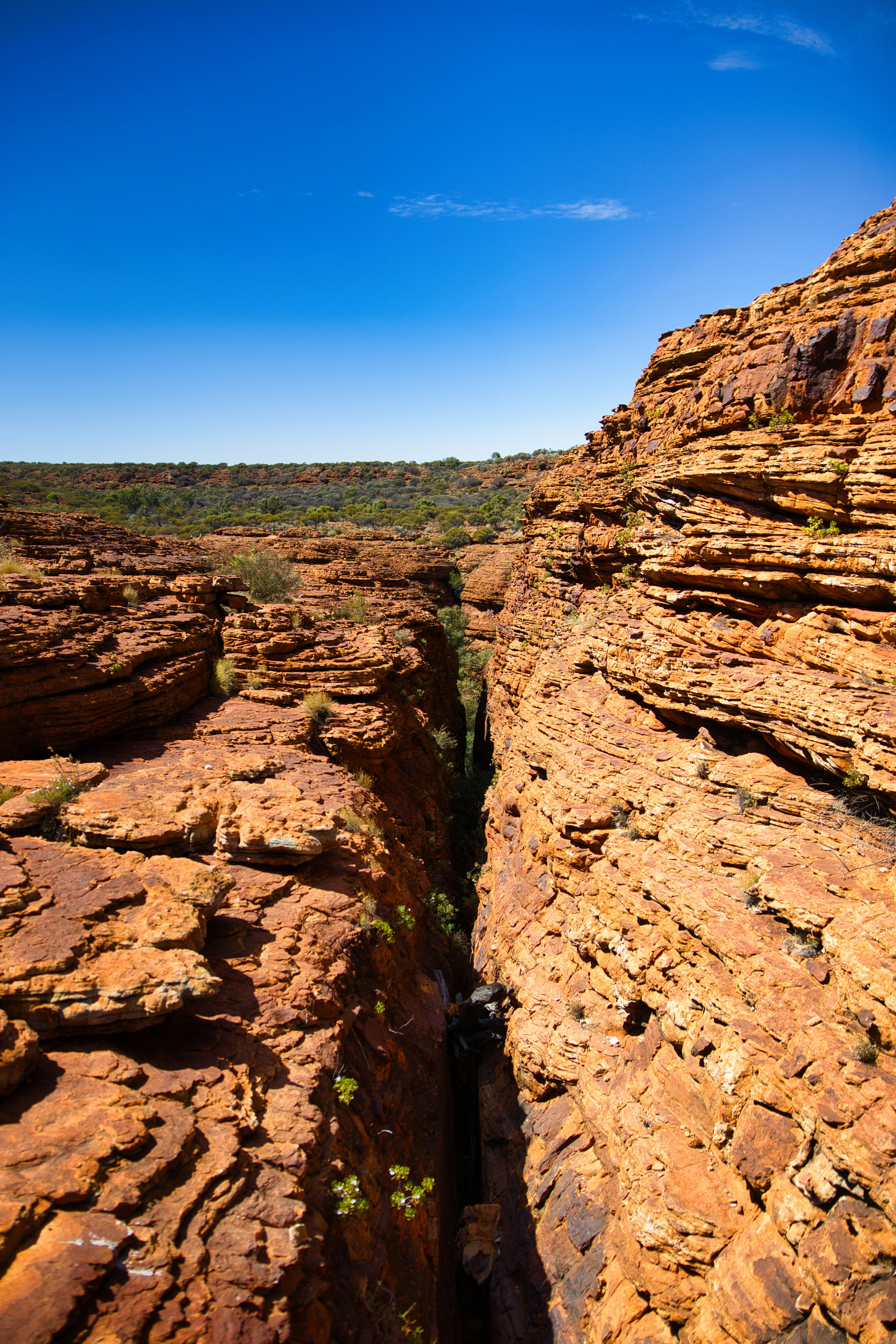 Photo by paws_and_prints