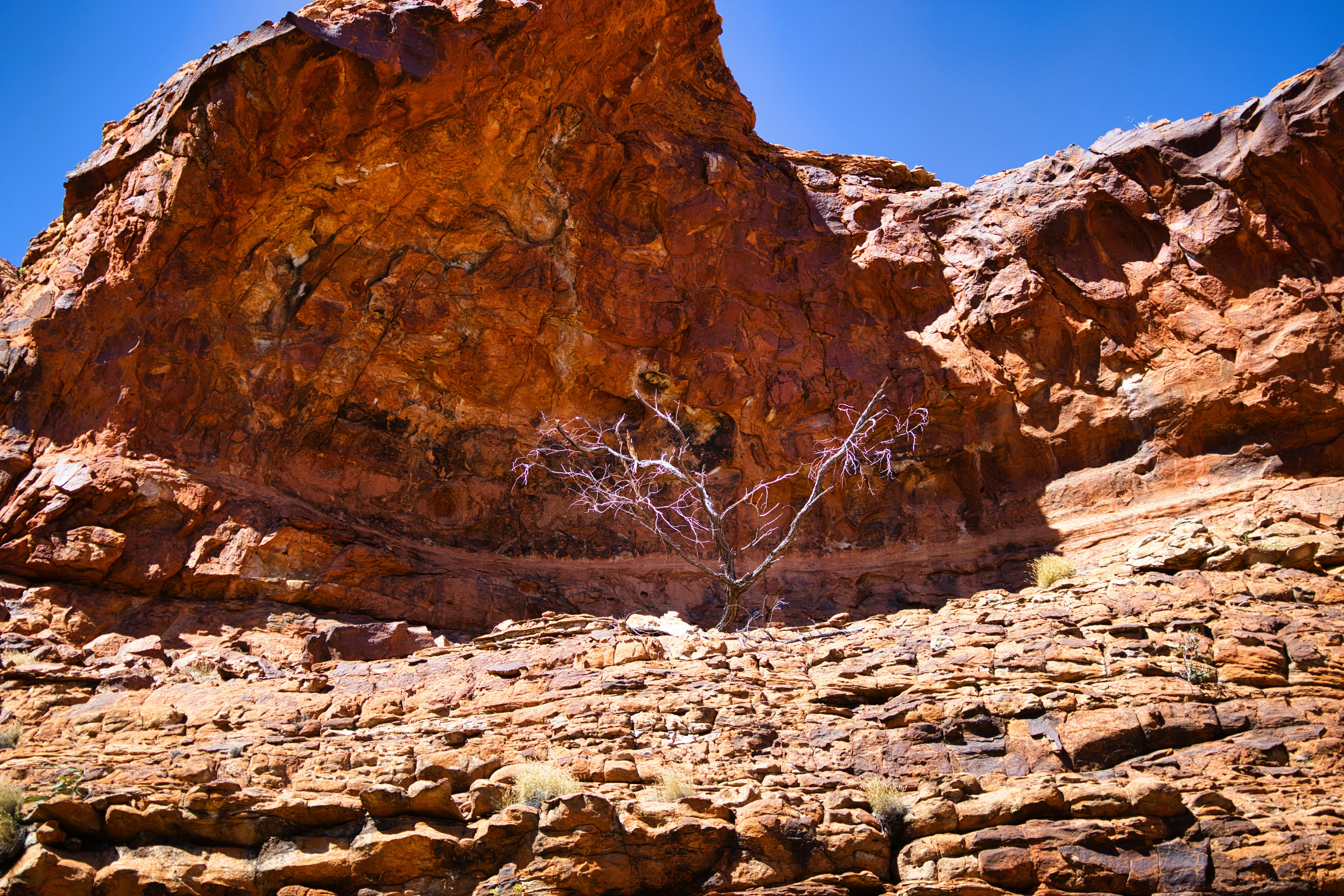 Photo by paws_and_prints