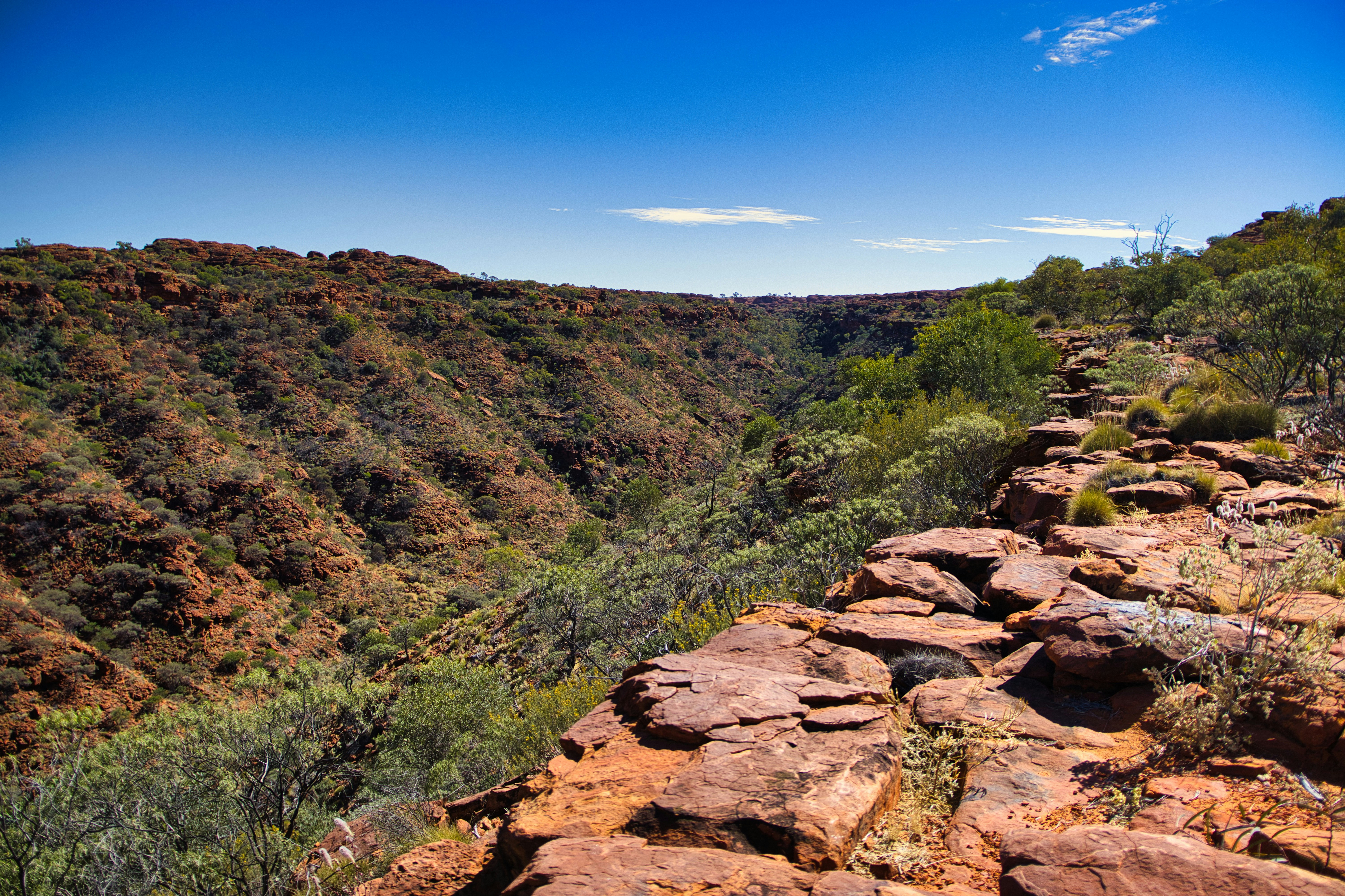 Photo by paws_and_prints