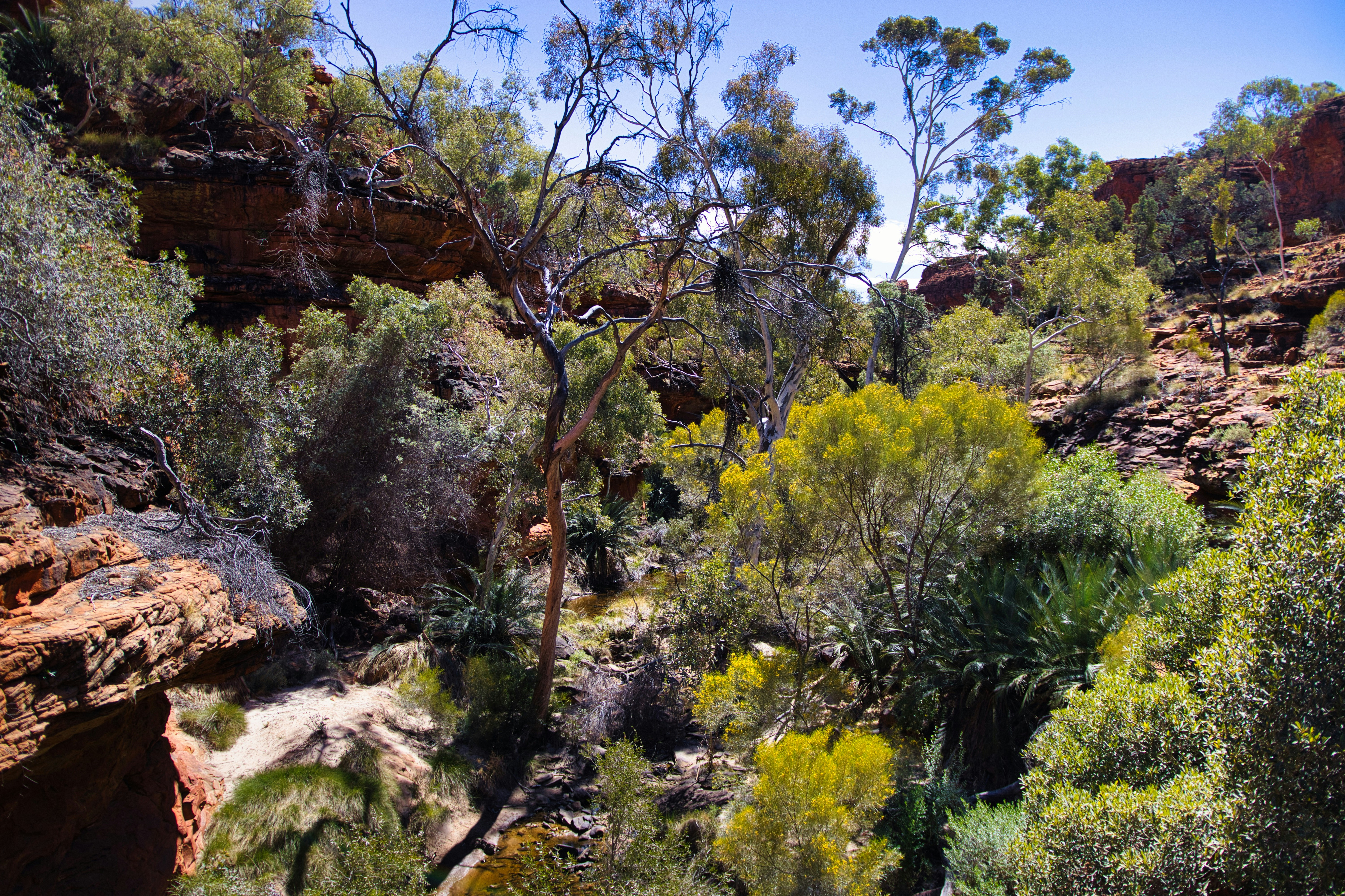 Photo by paws_and_prints