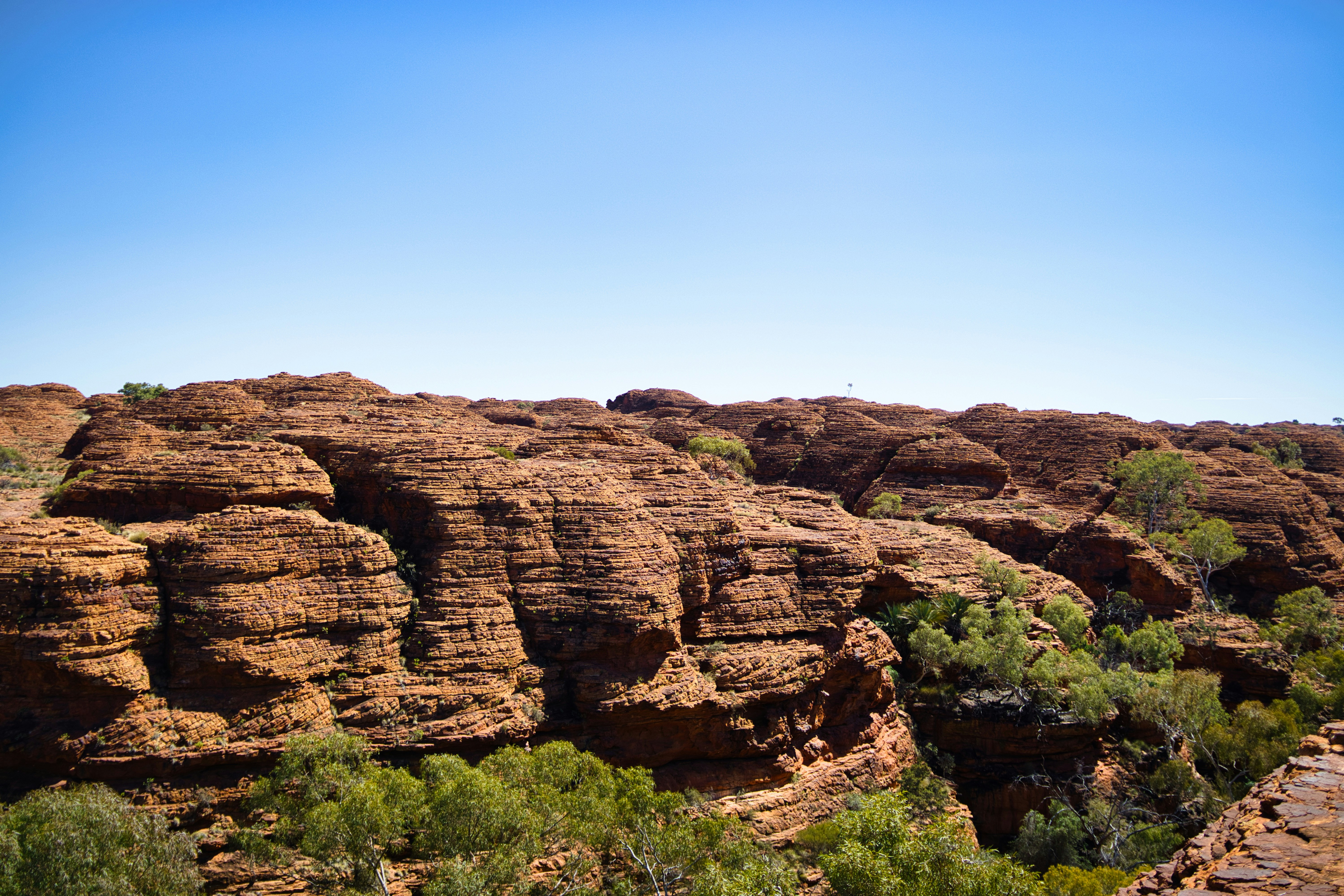 Photo by paws_and_prints