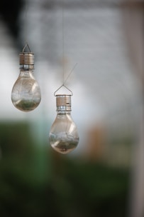 Two glass light bulbs hanging outdoors