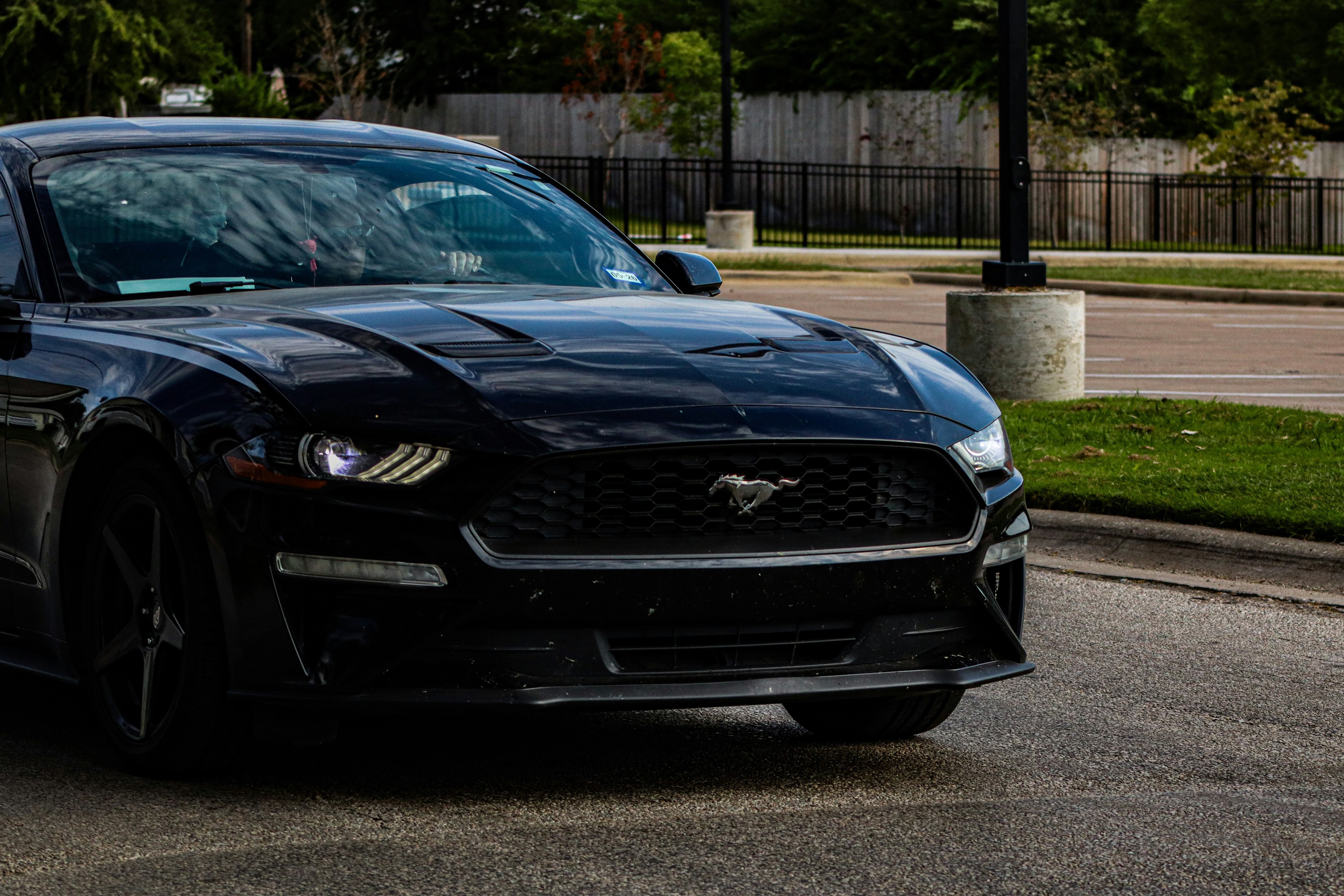 Photo by nextgenpics