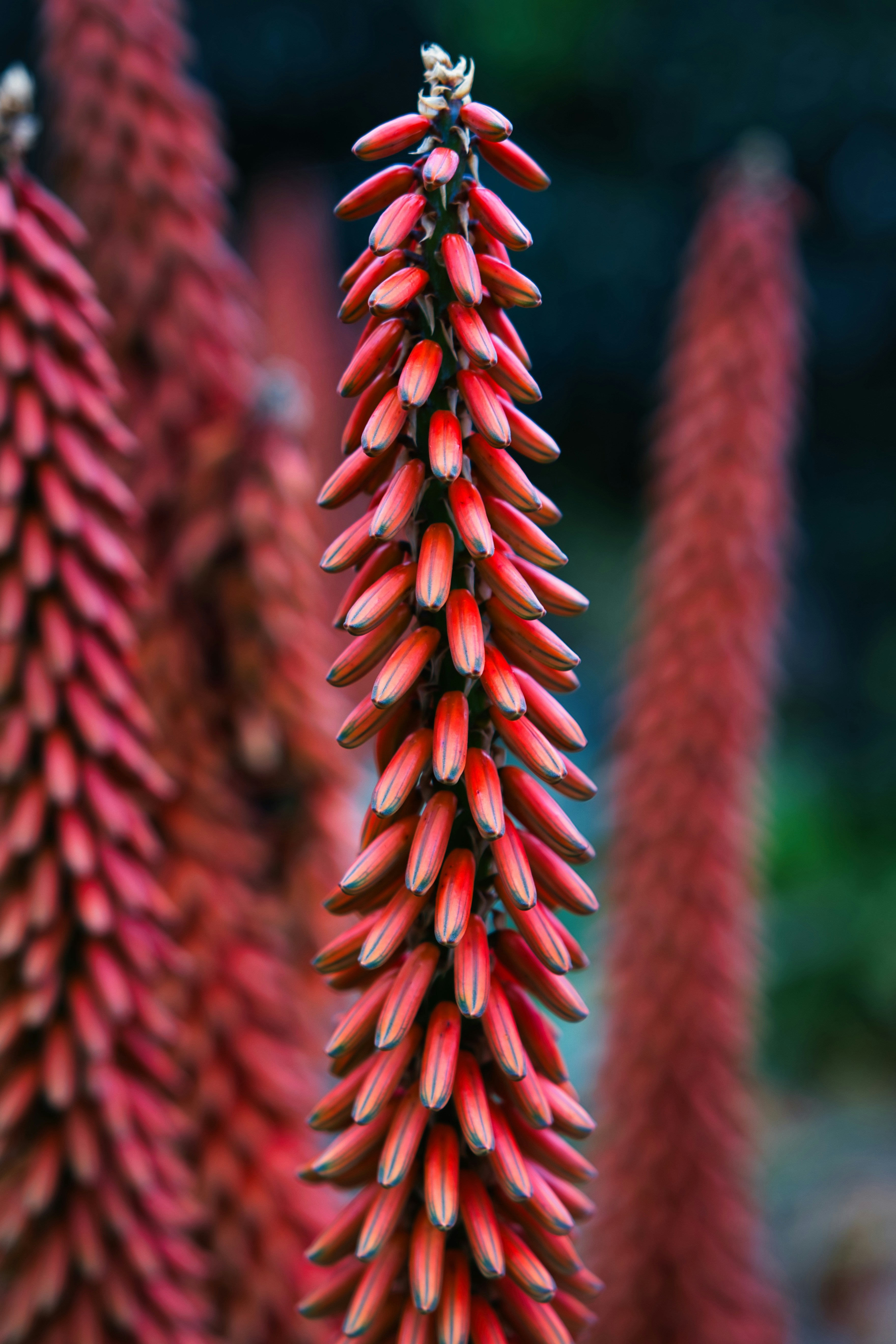 Photo by paws_and_prints