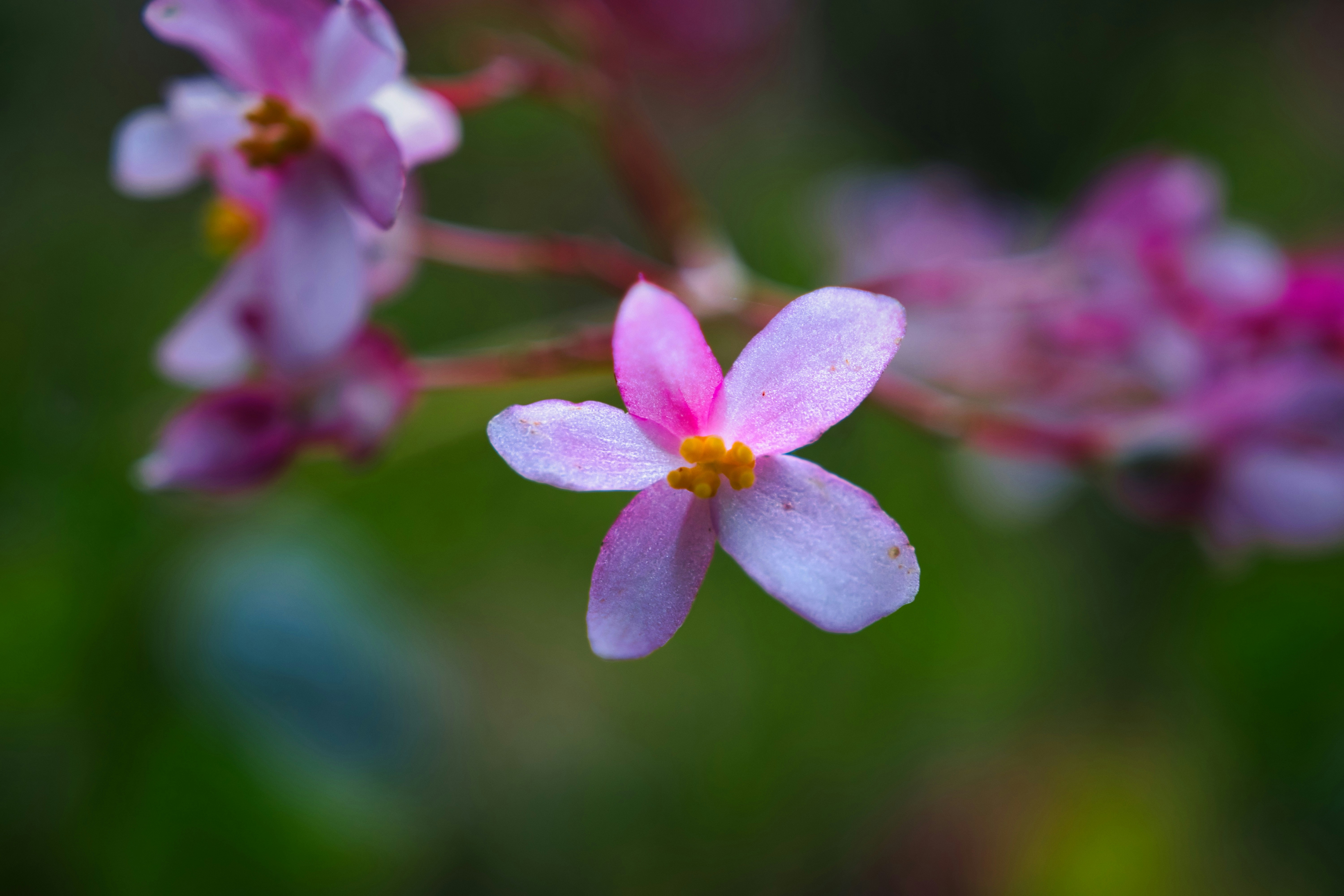 Photo by paws_and_prints