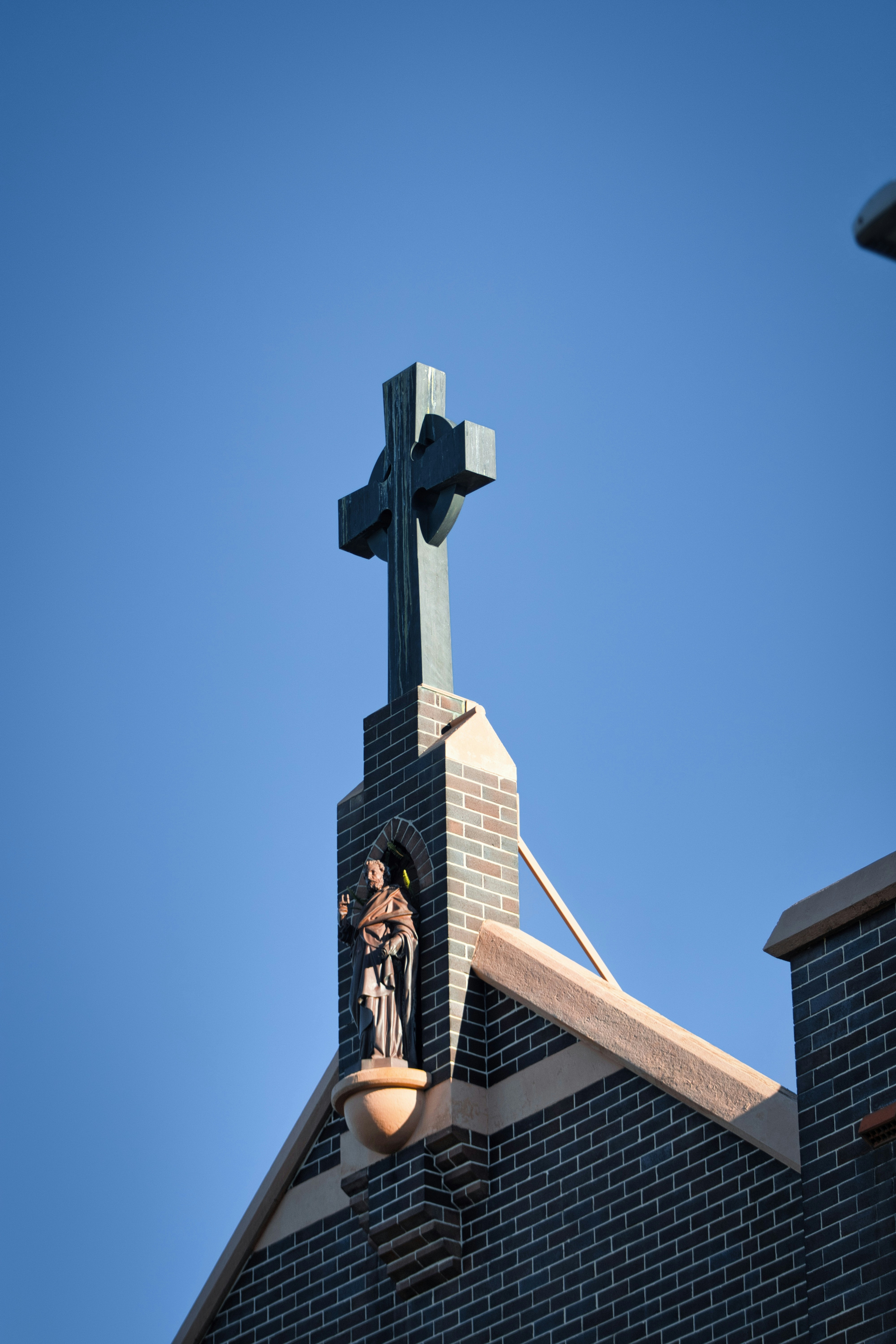 Photo by paws_and_prints