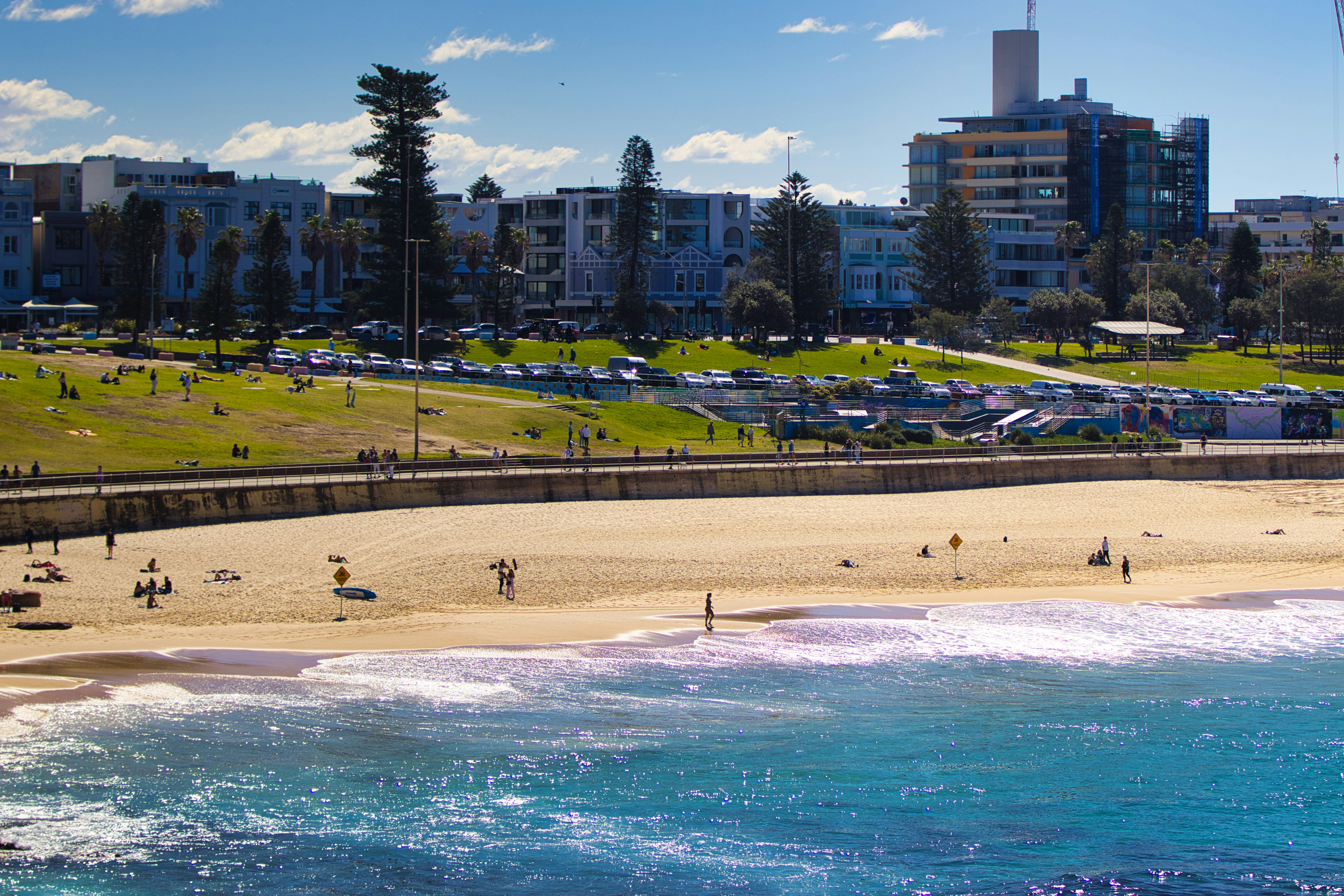 Photo by paws_and_prints