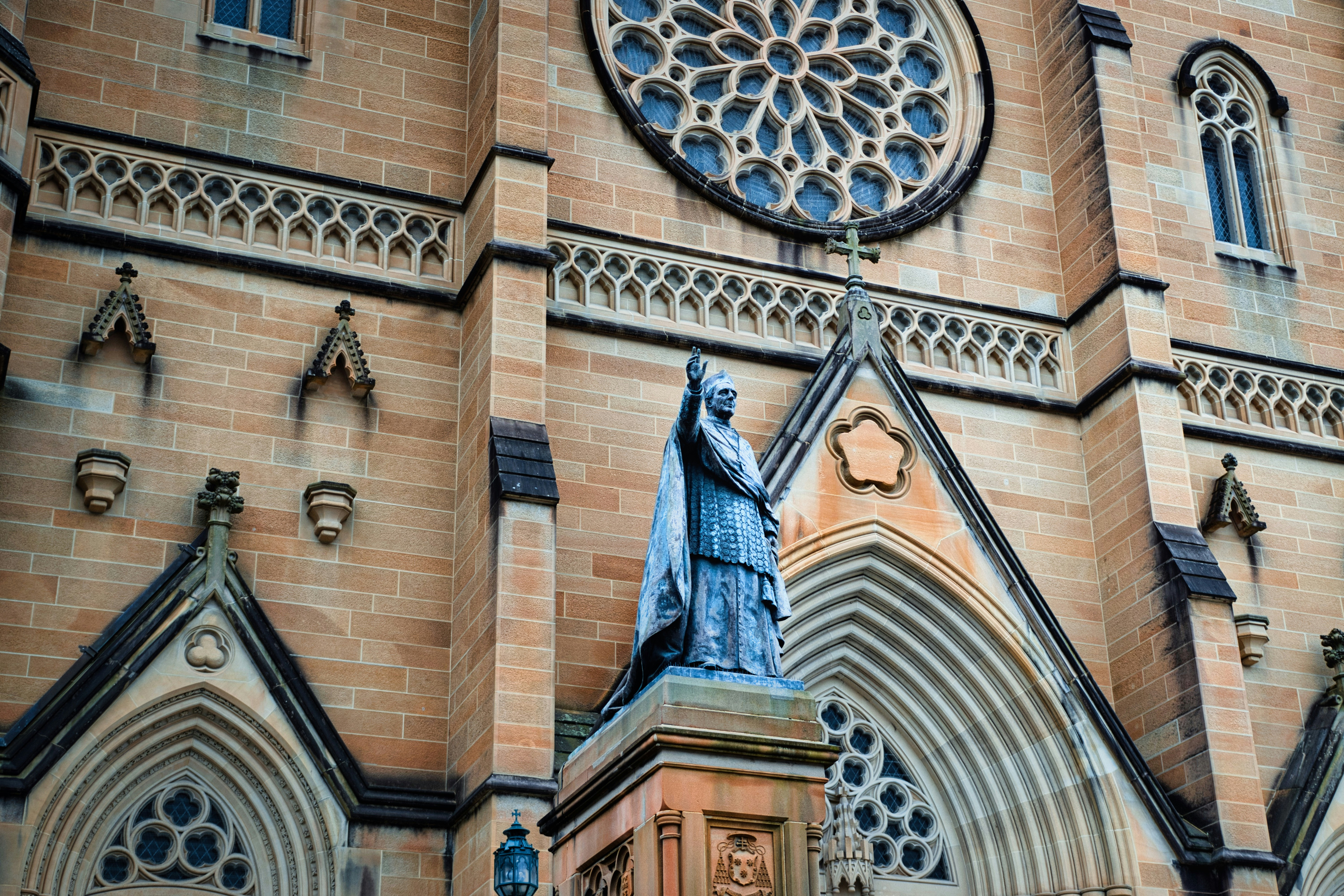 Photo by paws_and_prints