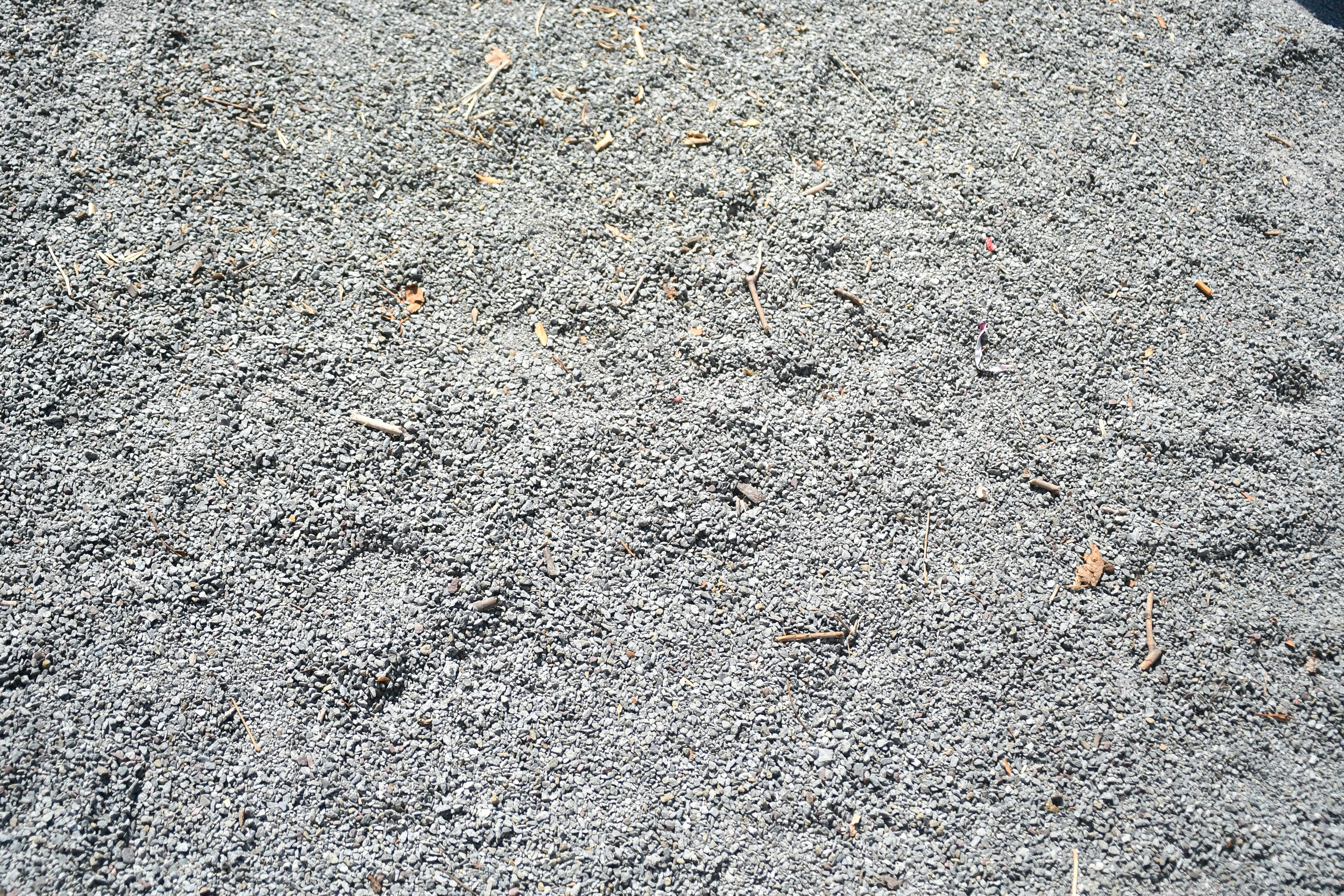Close-up of gray mulch with small twigs