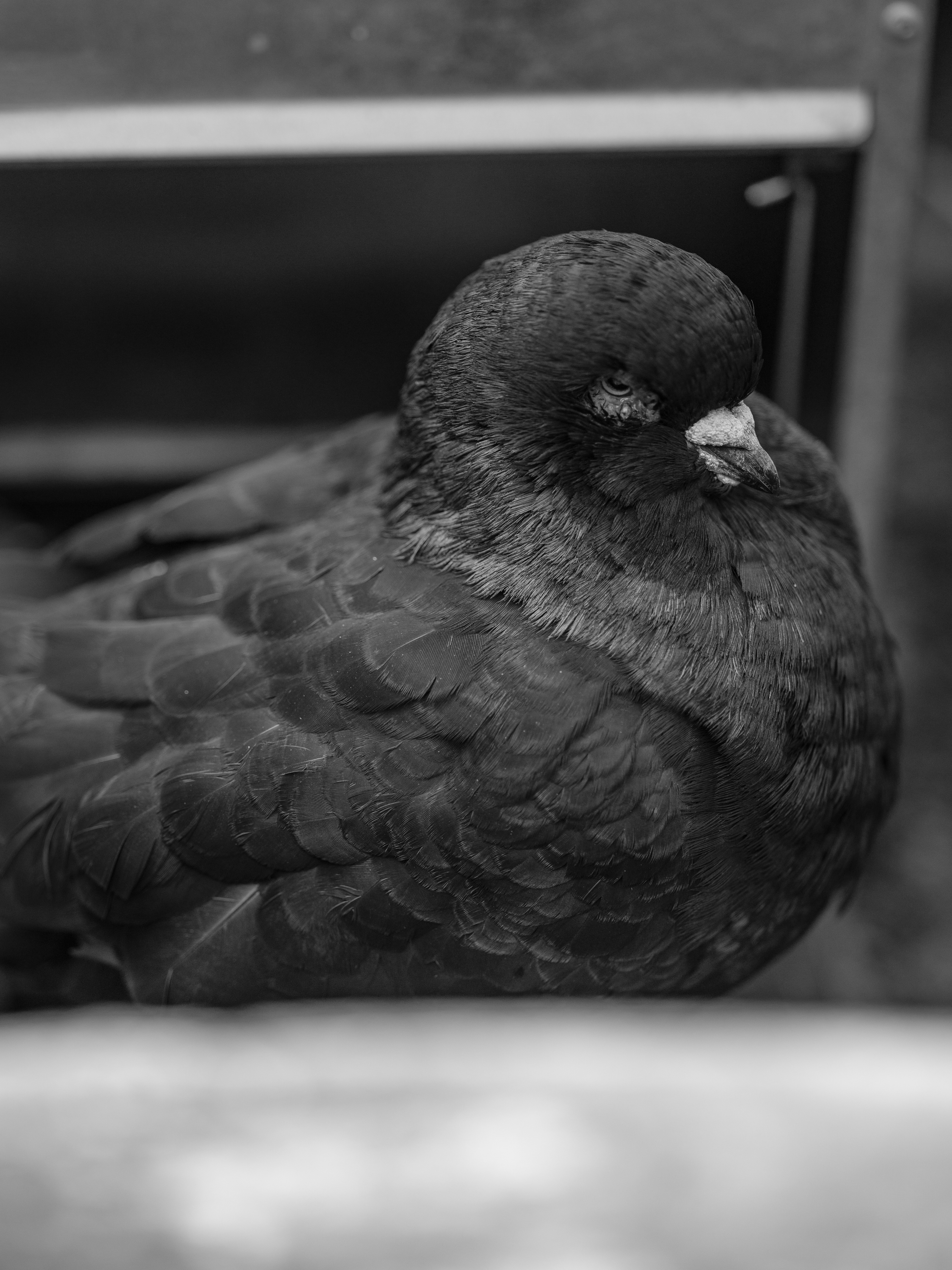 Photo by haberdoedas