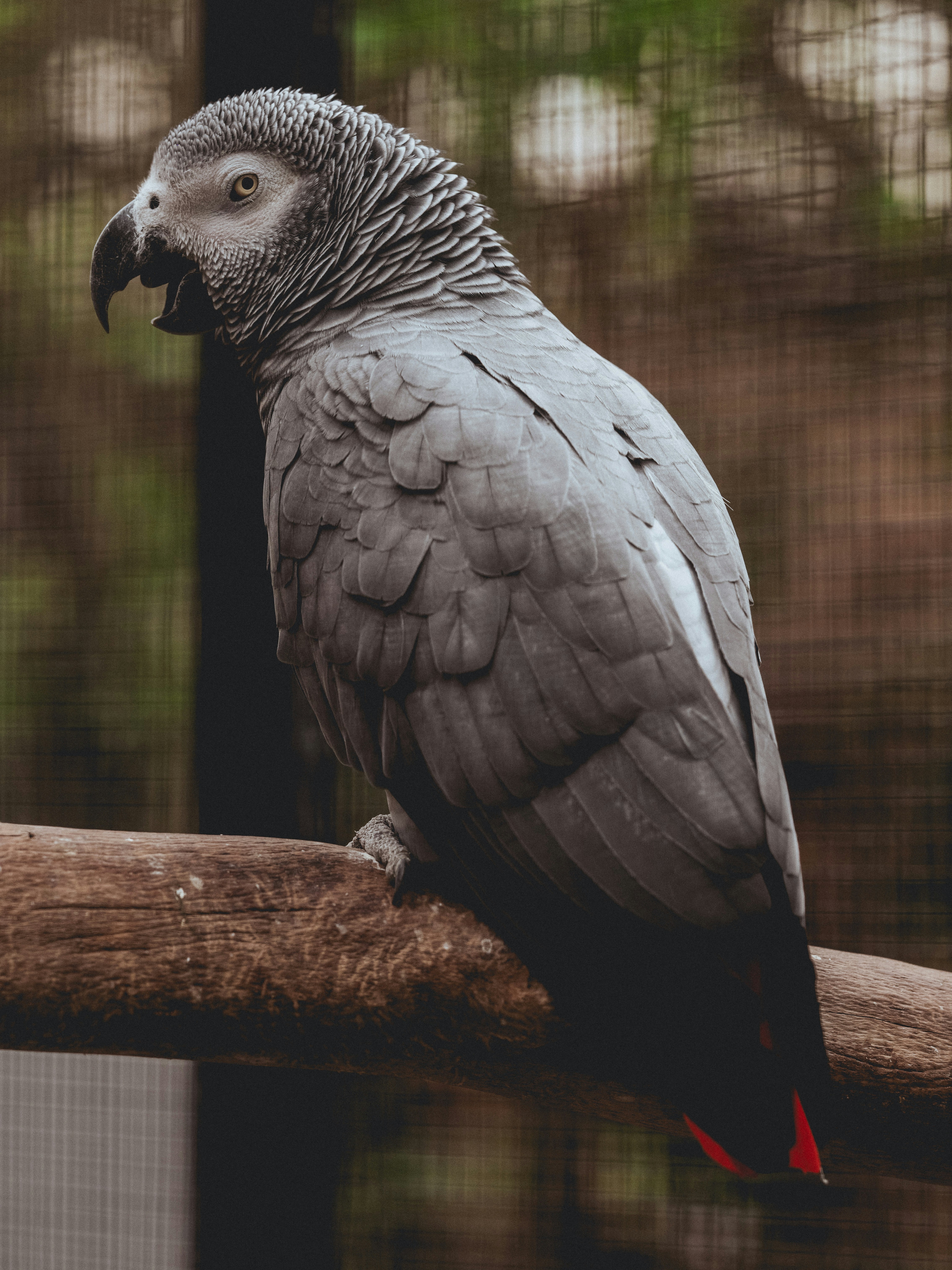 Photo by haberdoedas