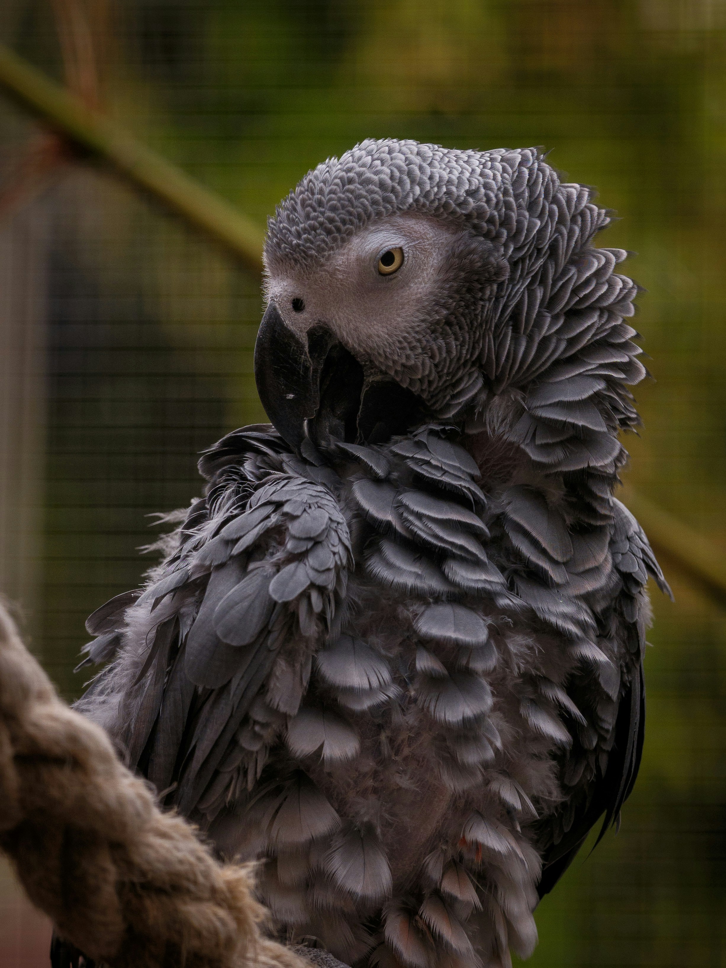 Photo by haberdoedas