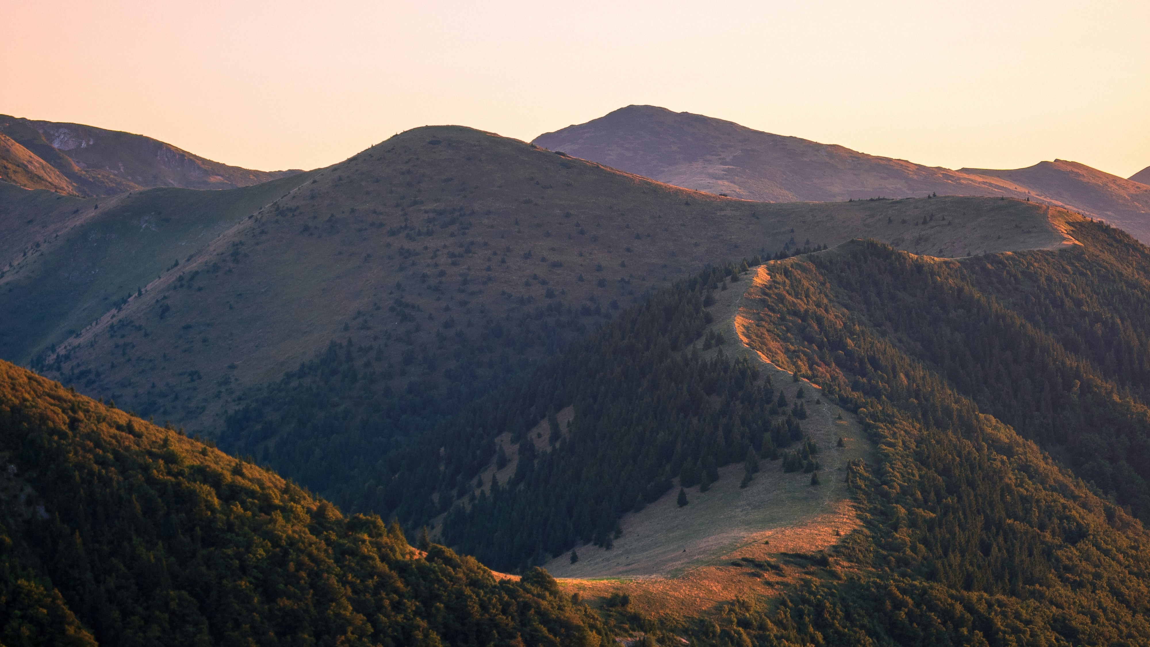 Top-Tier Hibachi Chef at Home: Love Hibachi's Essential Guide to Private Teppanyaki ExperiencesBy Rumla | Love Hibachi