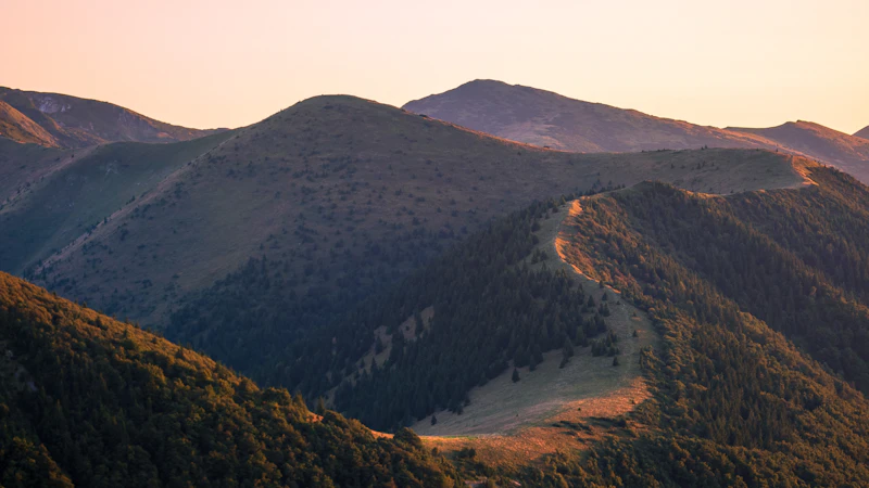 Fotografie: creste montane din Carpați, în Slovacia, cu o potecă șerpuită, în lumina caldă a apusului